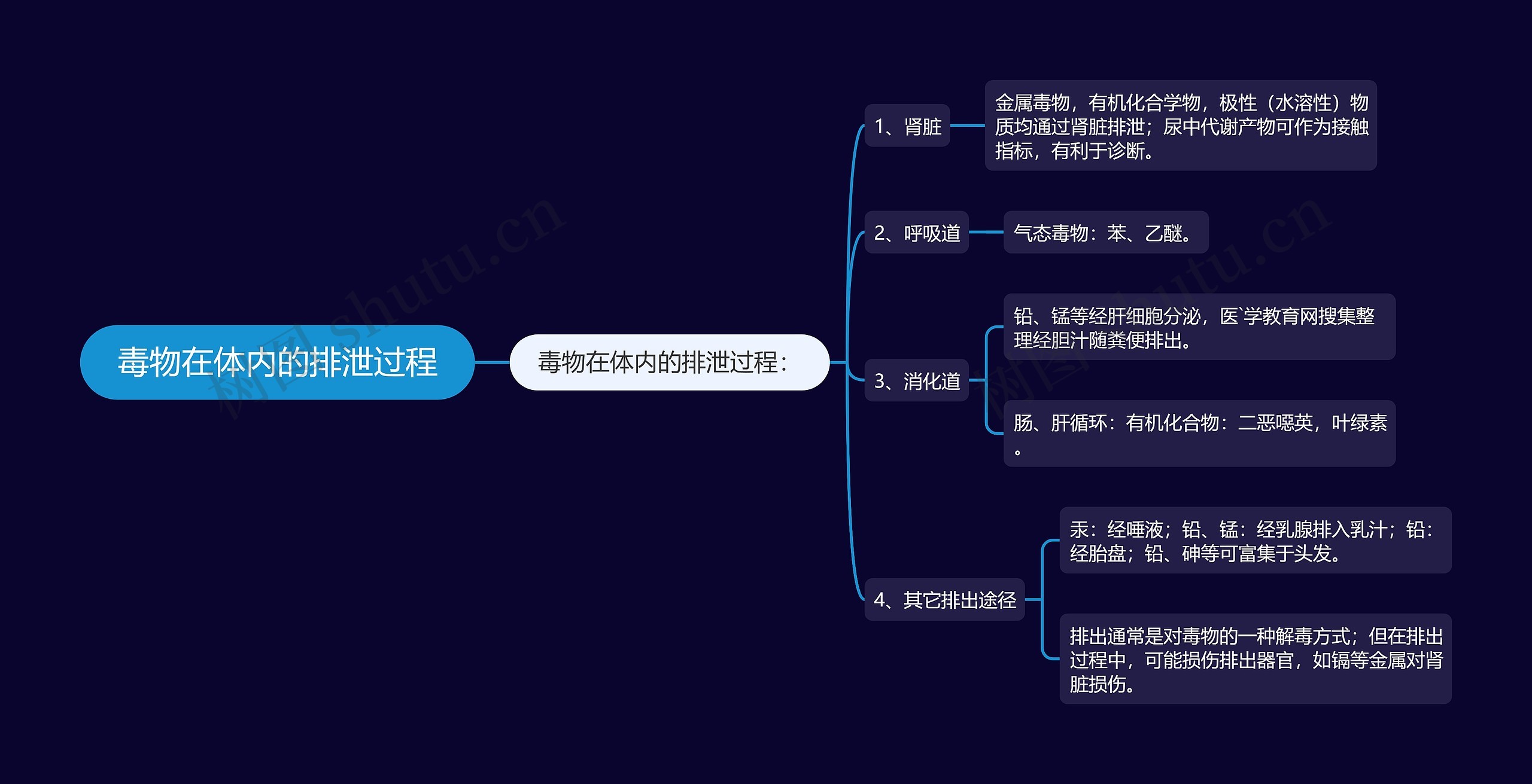 毒物在体内的排泄过程思维导图