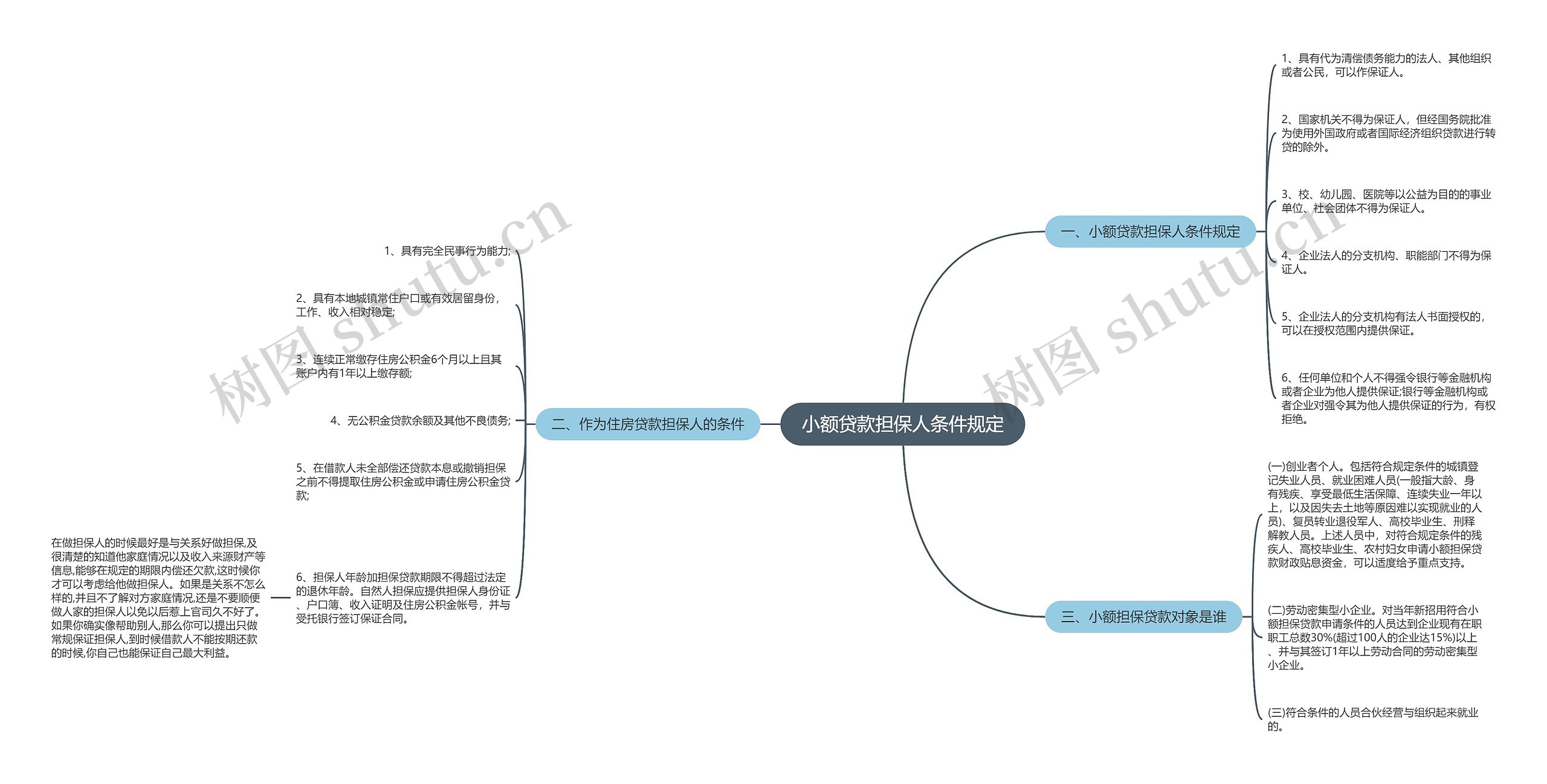 小额贷款担保人条件规定思维导图