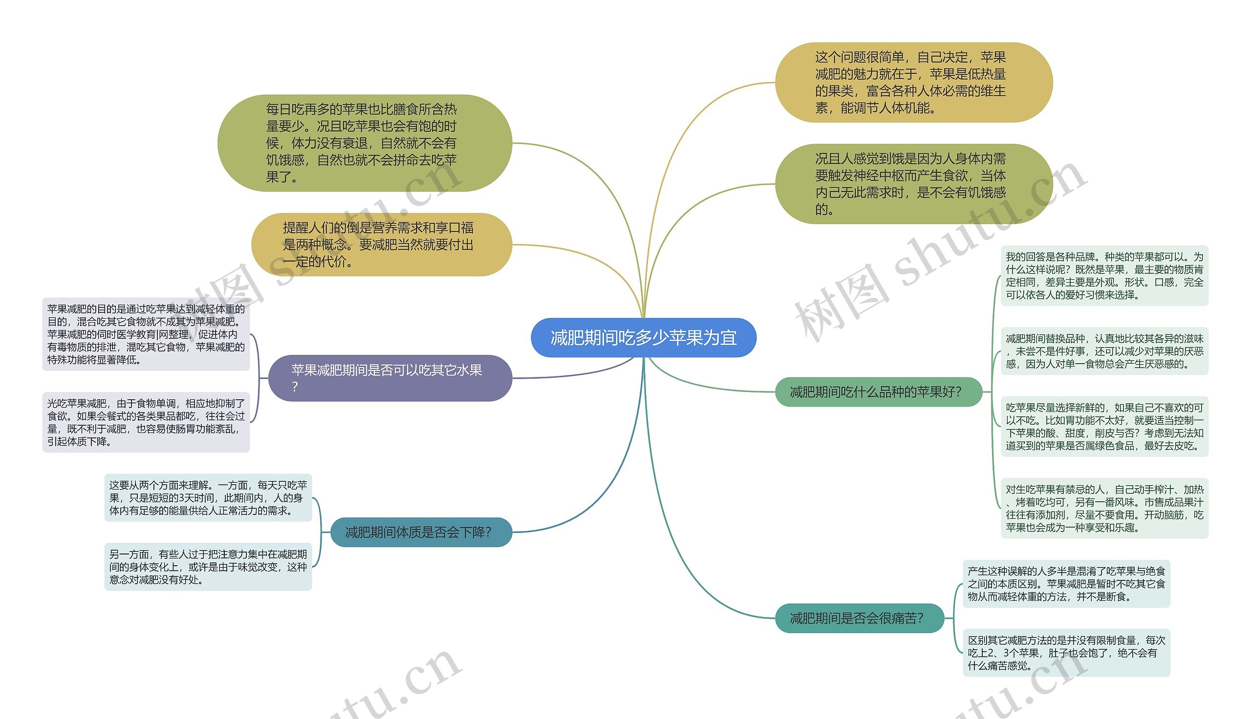 减肥期间吃多少苹果为宜思维导图