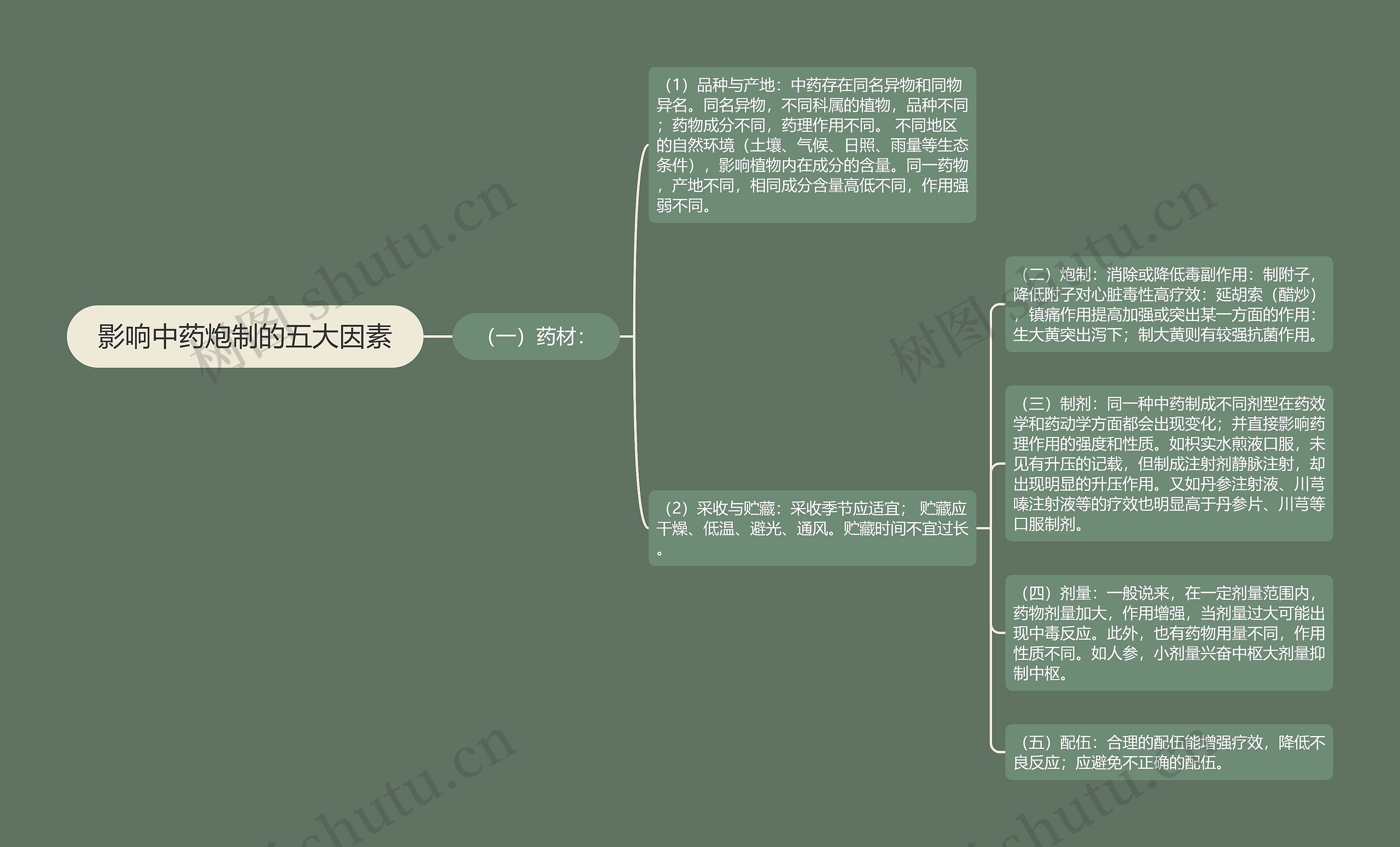 影响中药炮制的五大因素思维导图