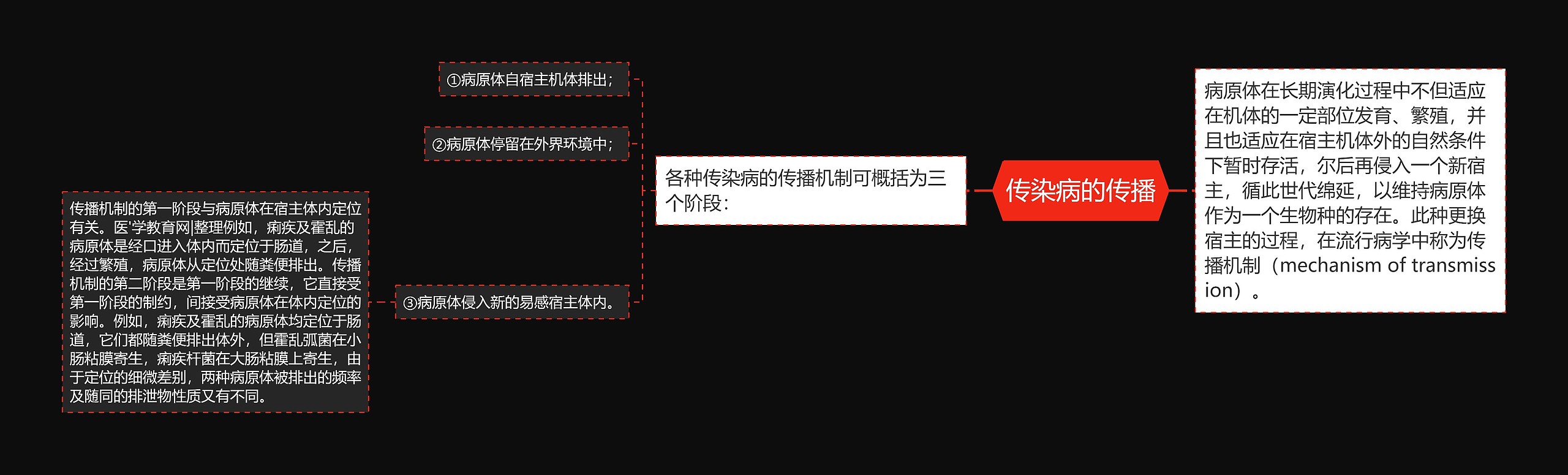 传染病的传播思维导图