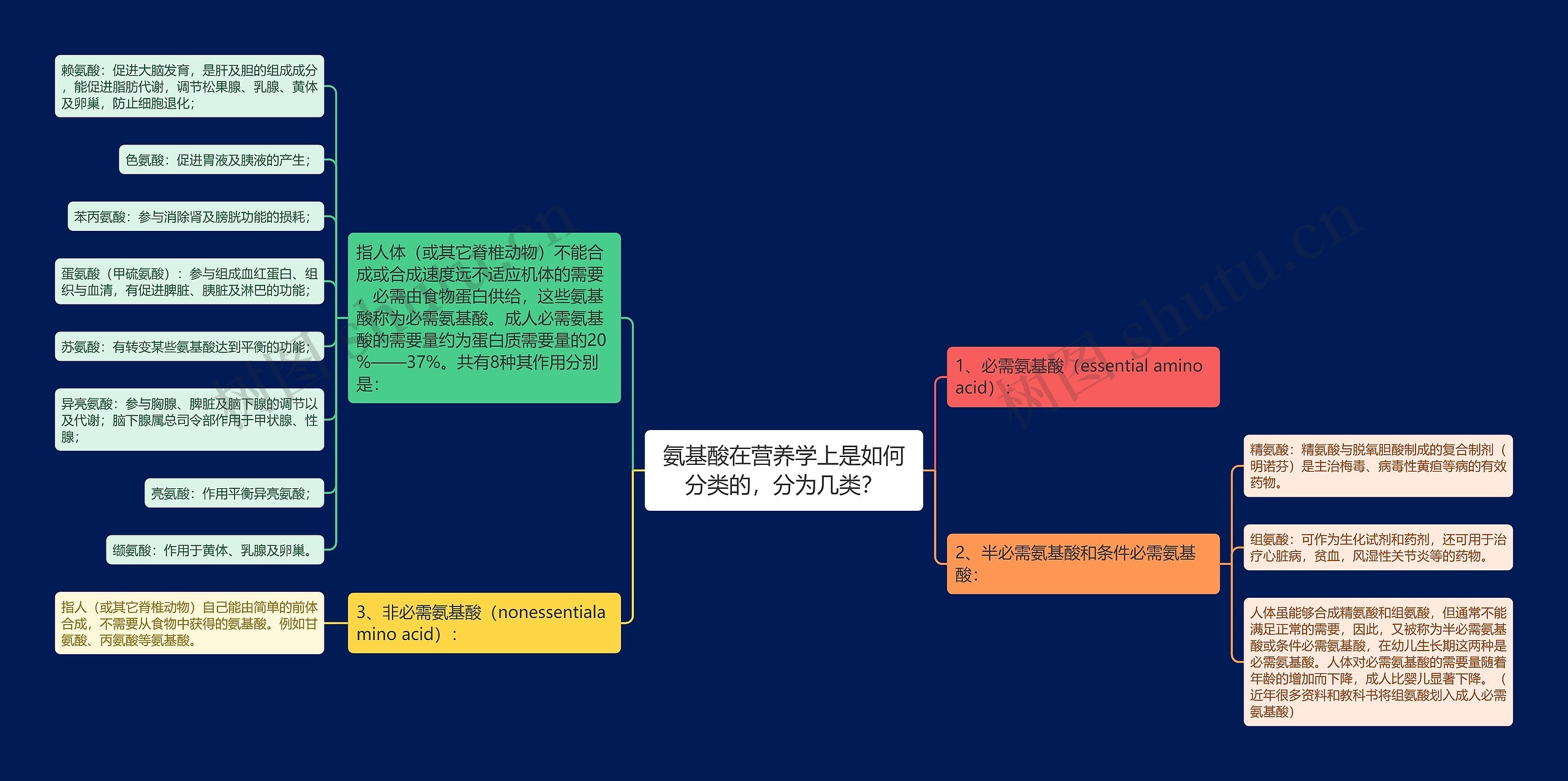 氨基酸在营养学上是如何分类的，分为几类？思维导图