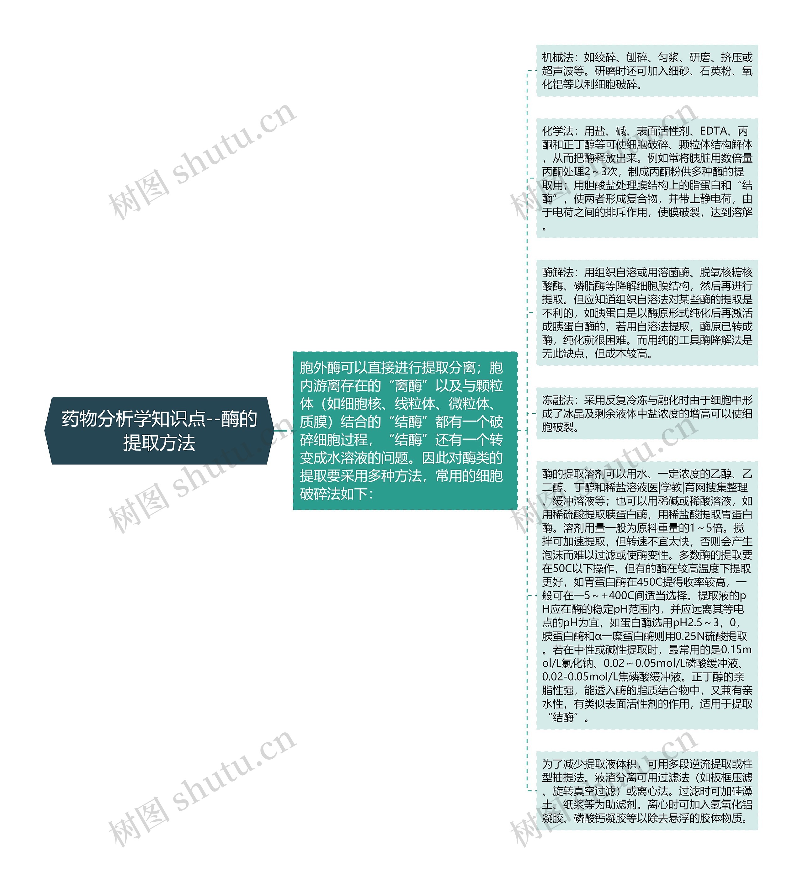 药物分析学知识点--酶的提取方法思维导图