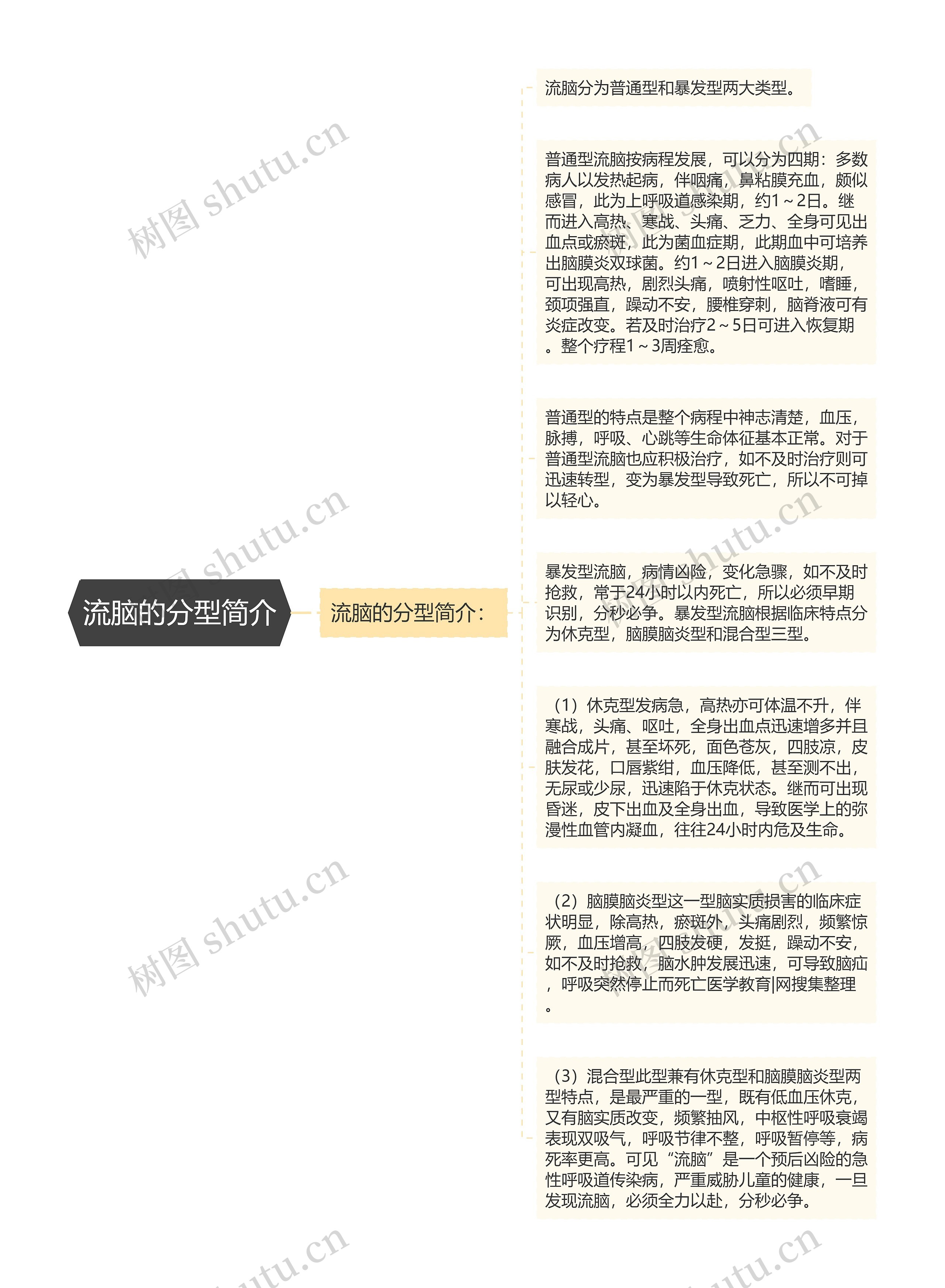 流脑的分型简介