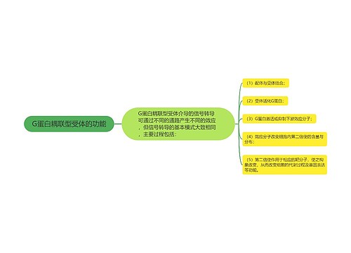 G蛋白耦联型受体的功能