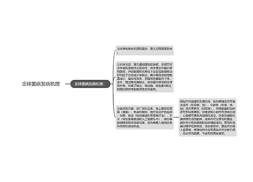 念球菌病发病机理