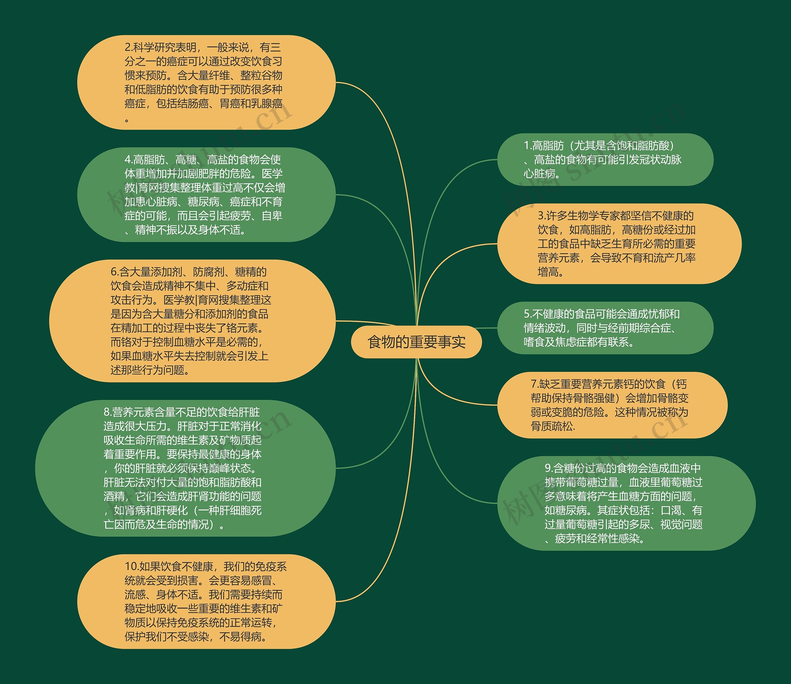 食物的重要事实思维导图