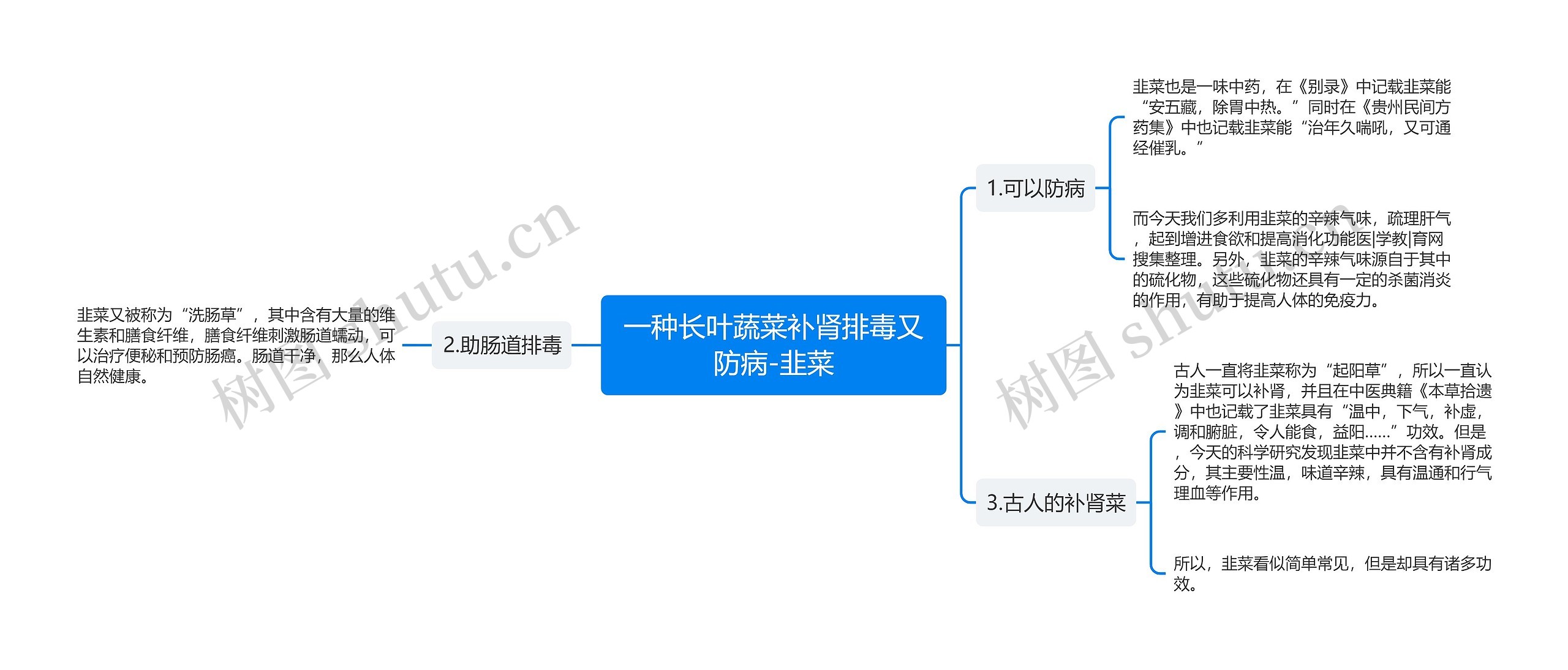 一种长叶蔬菜补肾排毒又防病-韭菜