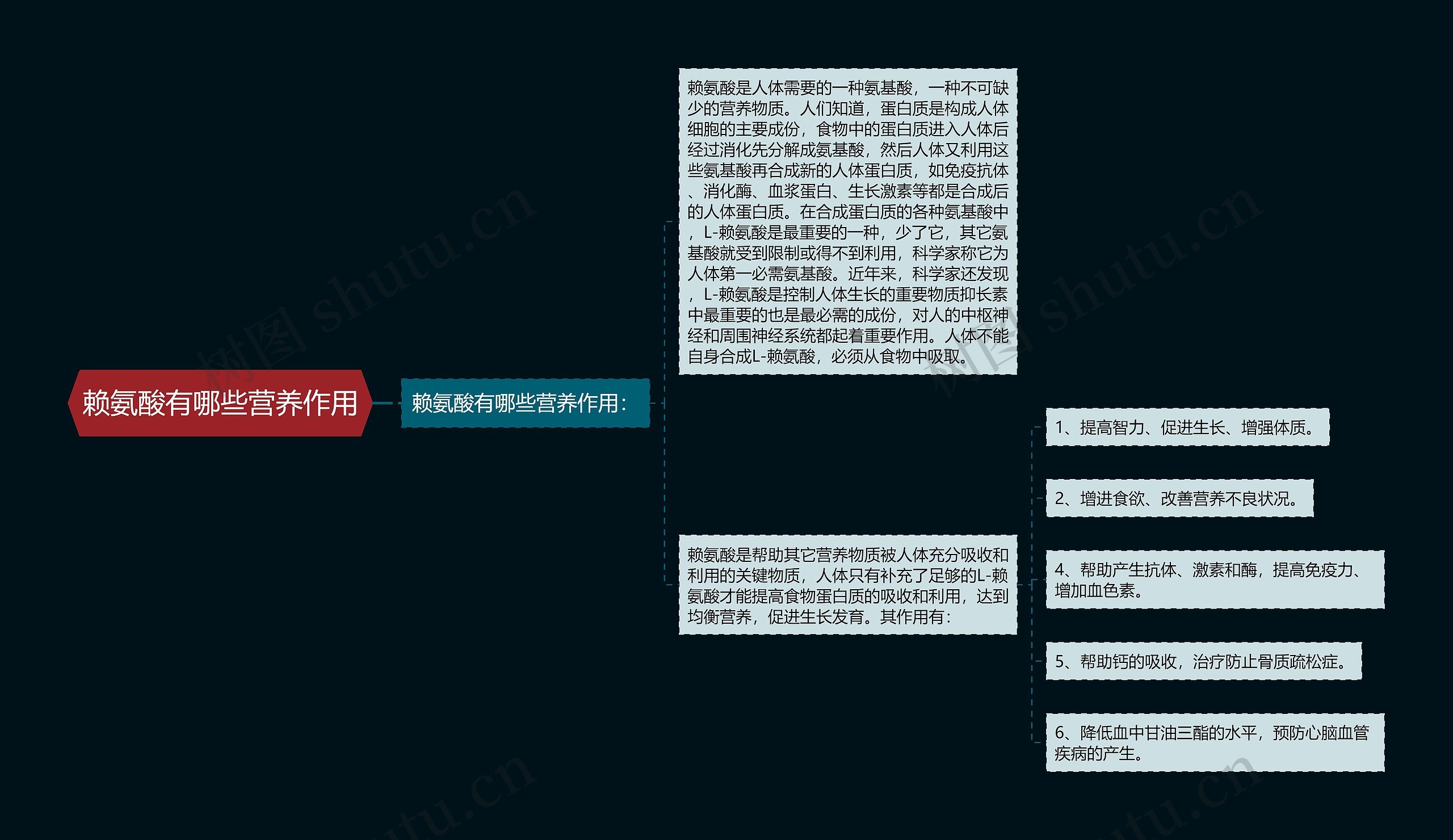 赖氨酸有哪些营养作用思维导图