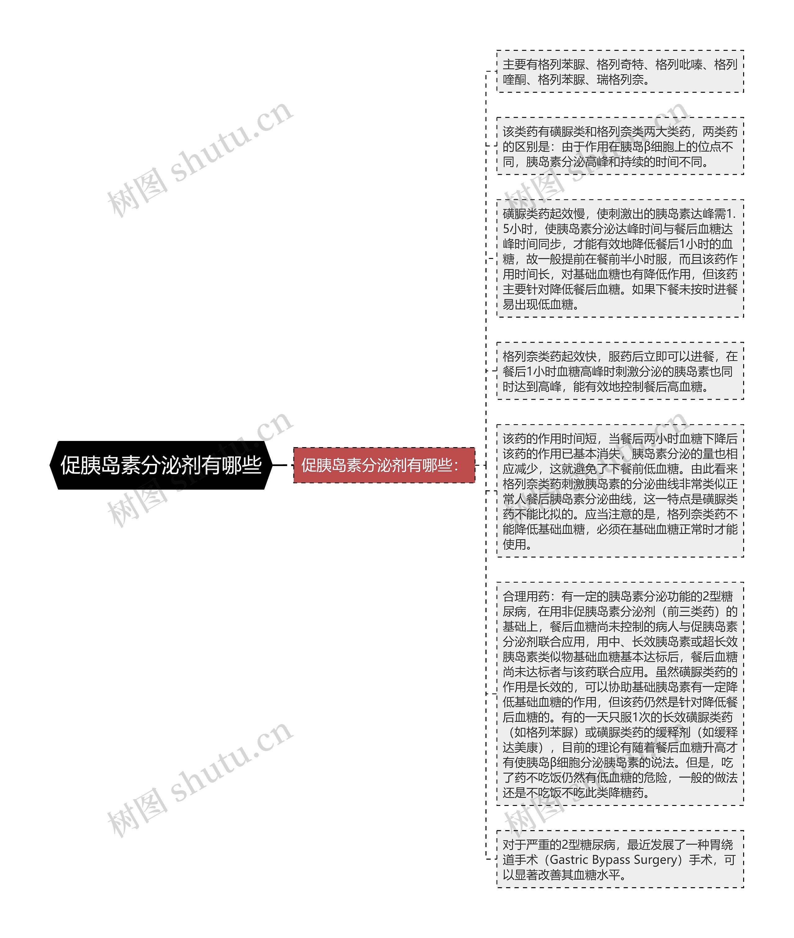 促胰岛素分泌剂有哪些思维导图