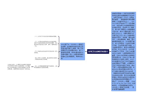 全球卫生战略目标简介