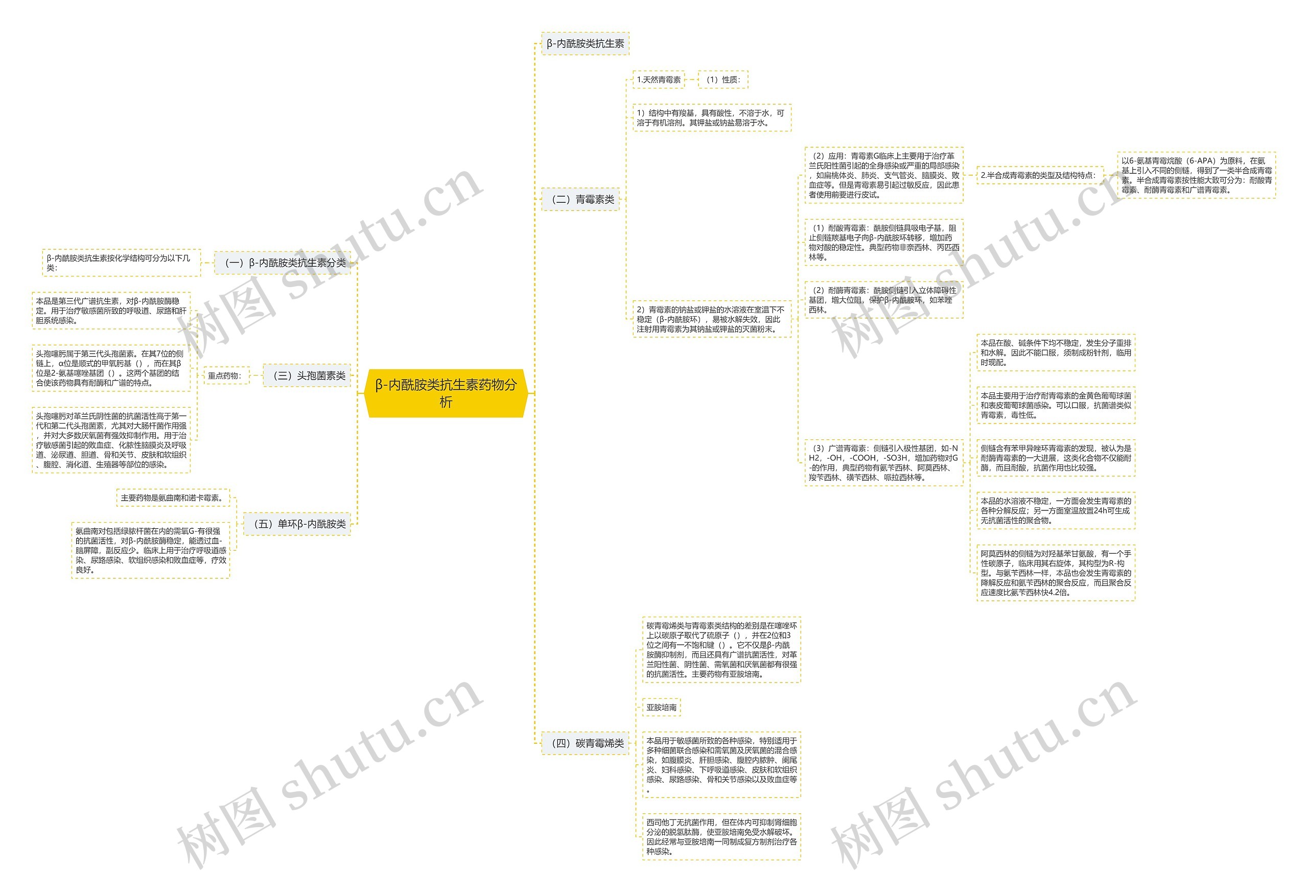 β-内酰胺类抗生素药物分析思维导图