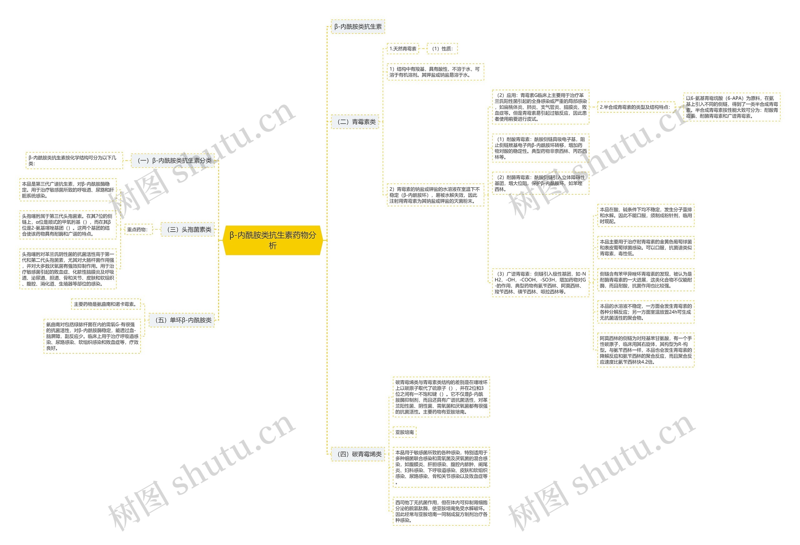 β-内酰胺类抗生素药物分析 β-内酰胺类抗生素药物分析