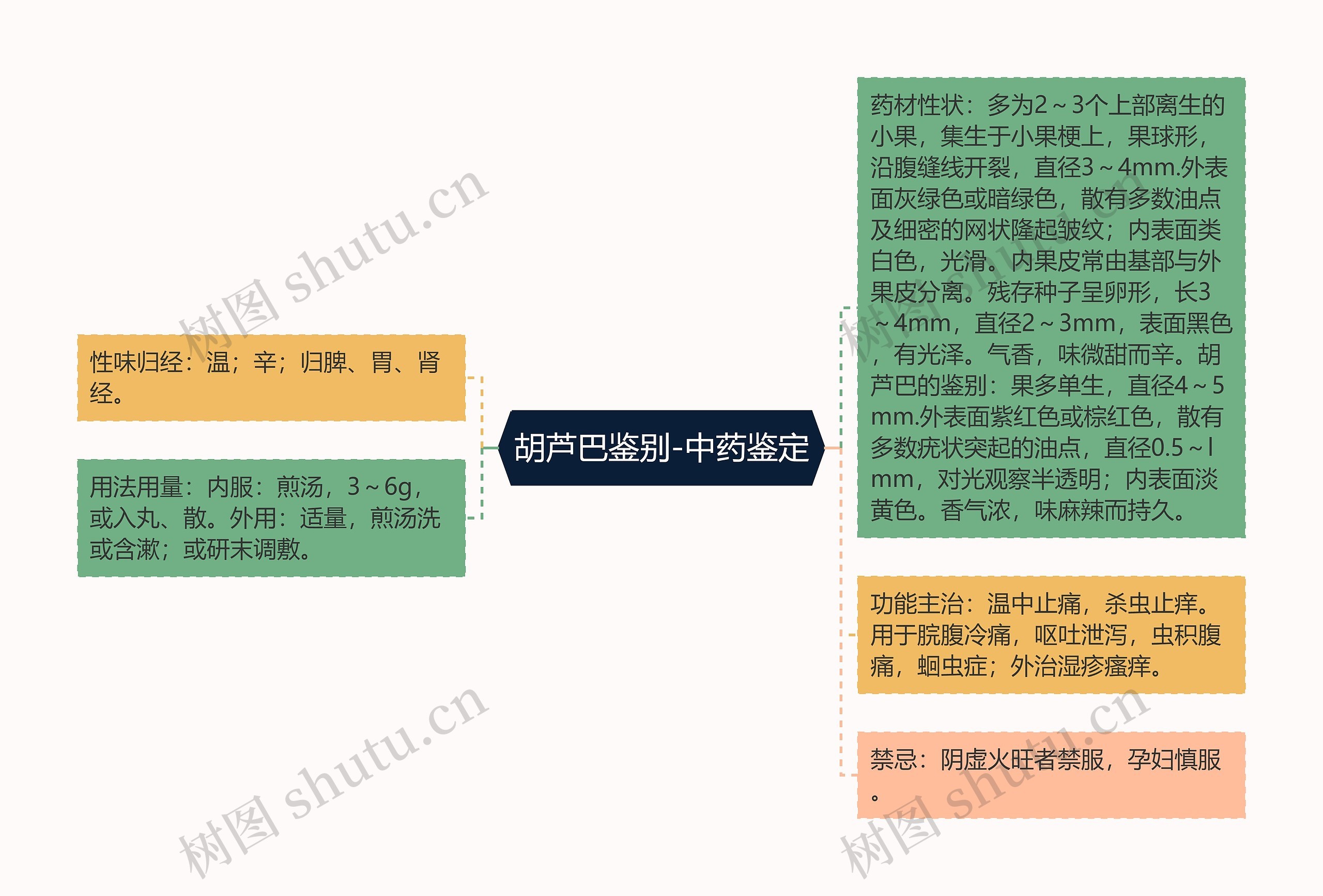 胡芦巴鉴别-中药鉴定思维导图