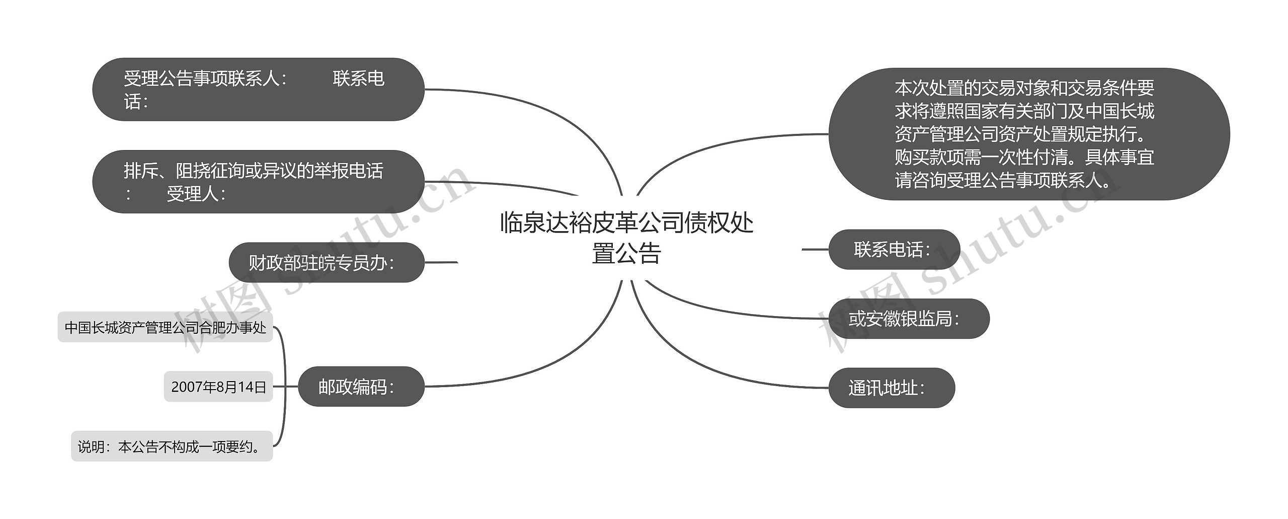 临泉达裕皮革公司债权处置公告思维导图