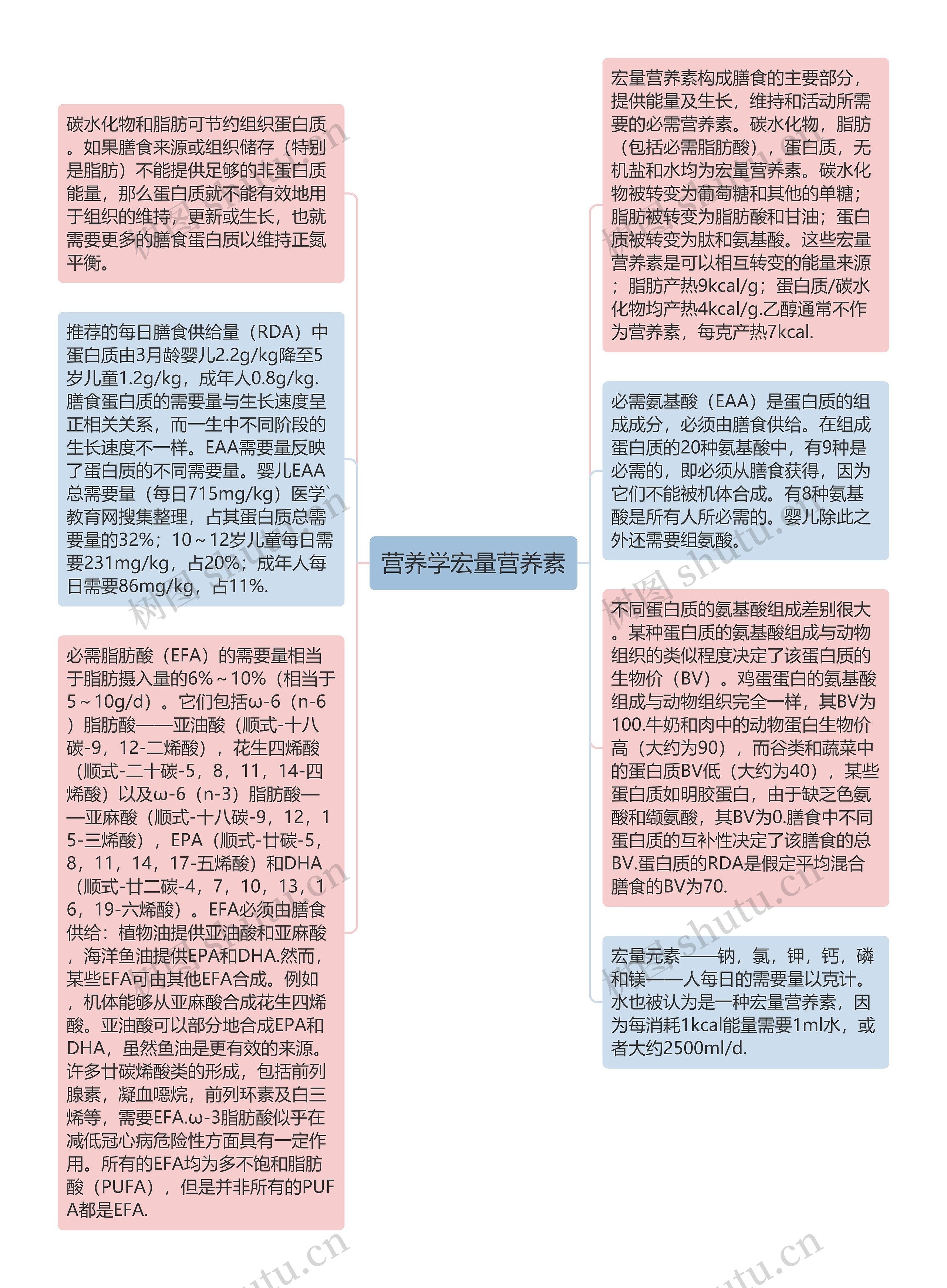 营养学宏量营养素思维导图