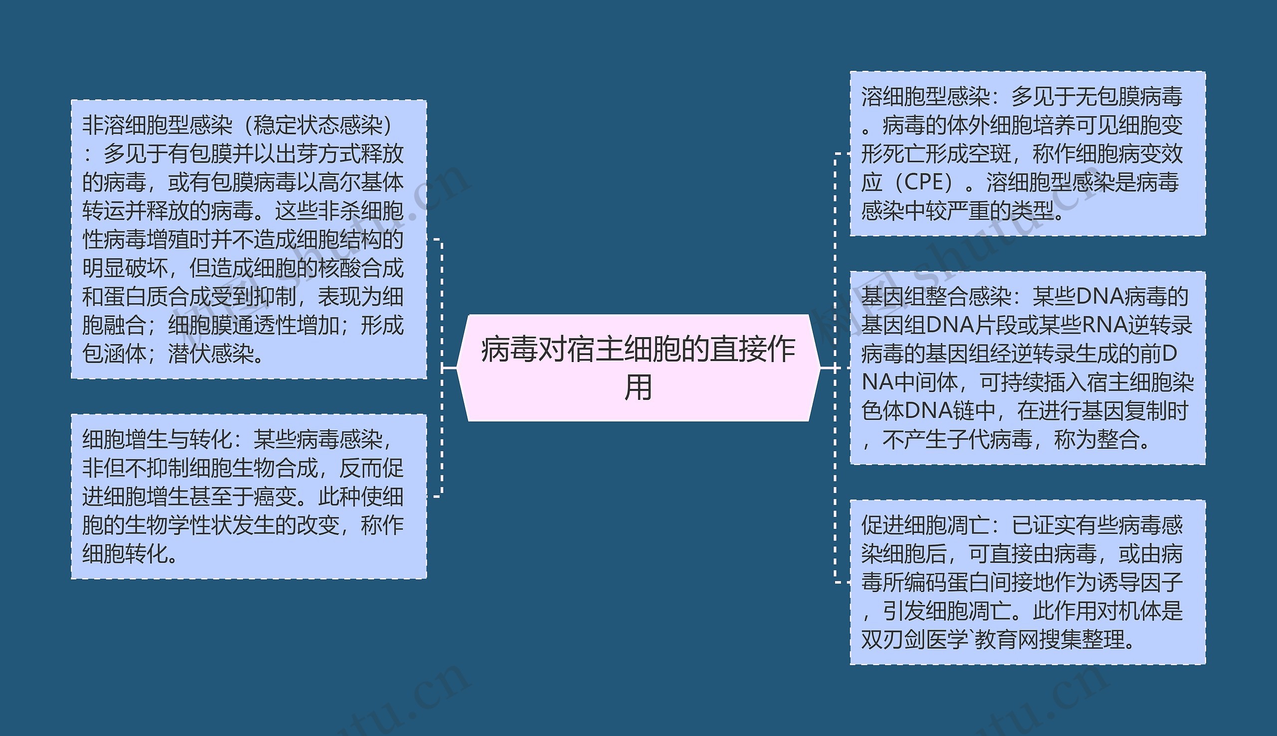 病毒对宿主细胞的直接作用思维导图