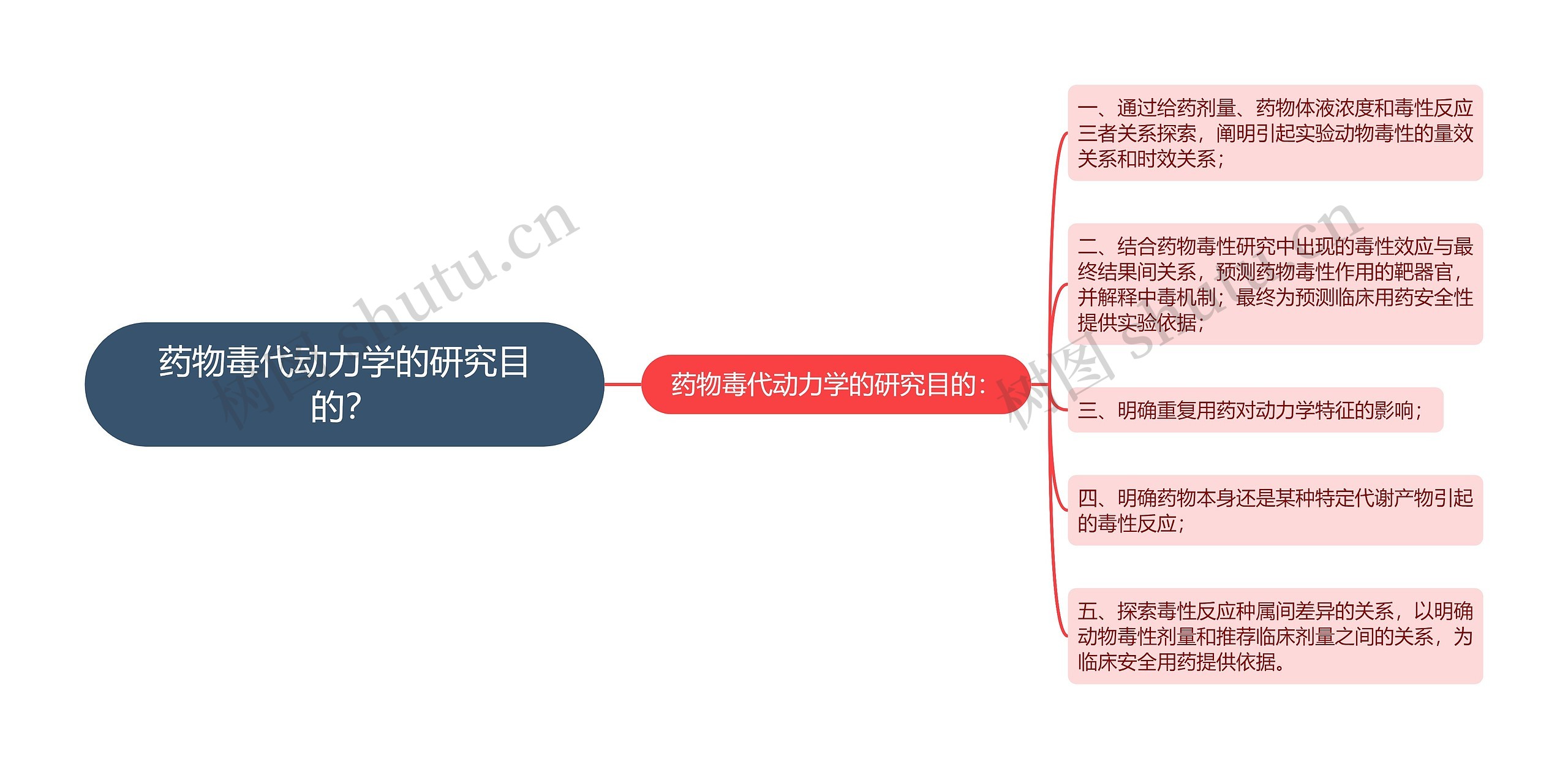 药物毒代动力学的研究目的？思维导图