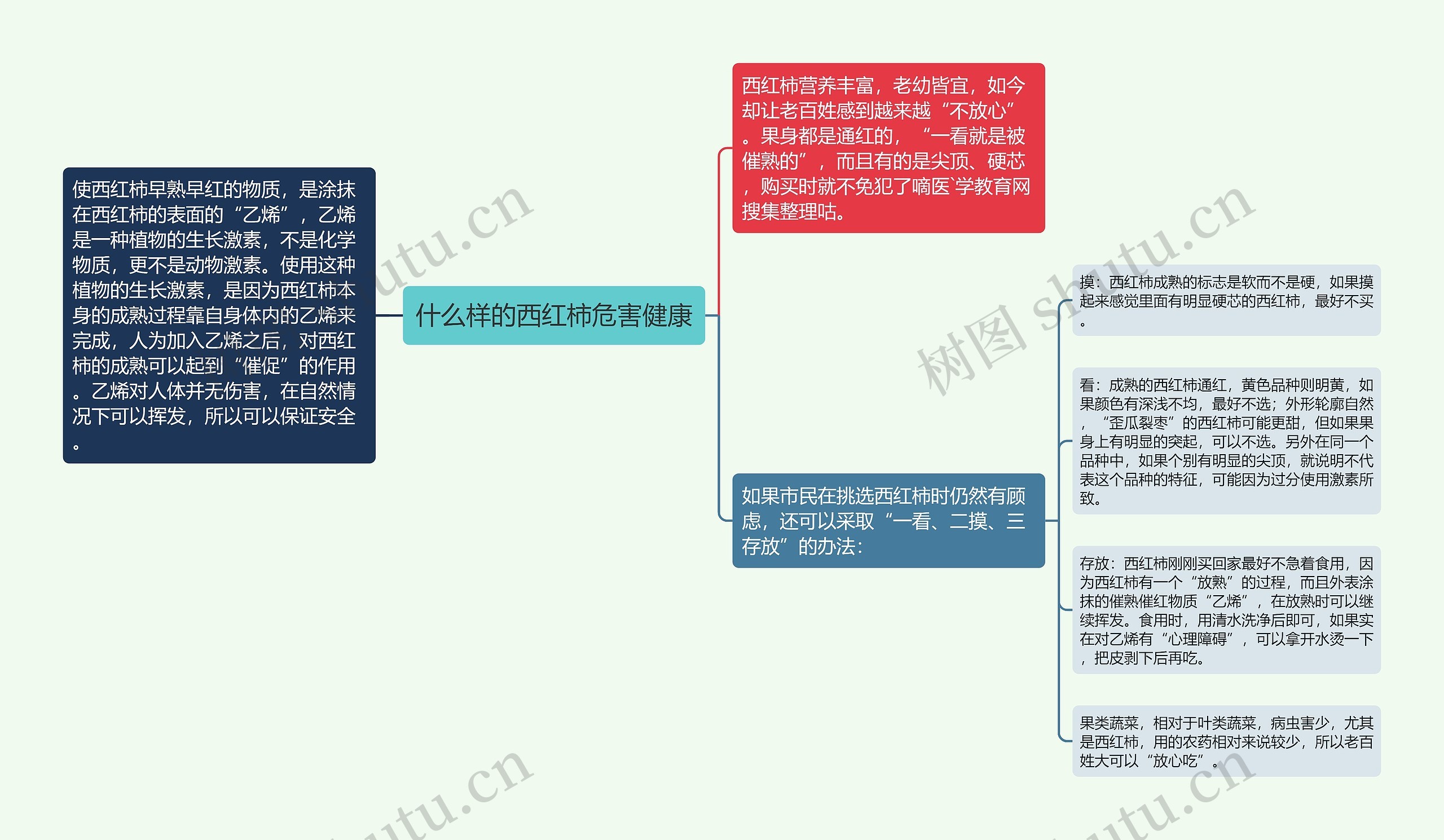 什么样的西红柿危害健康