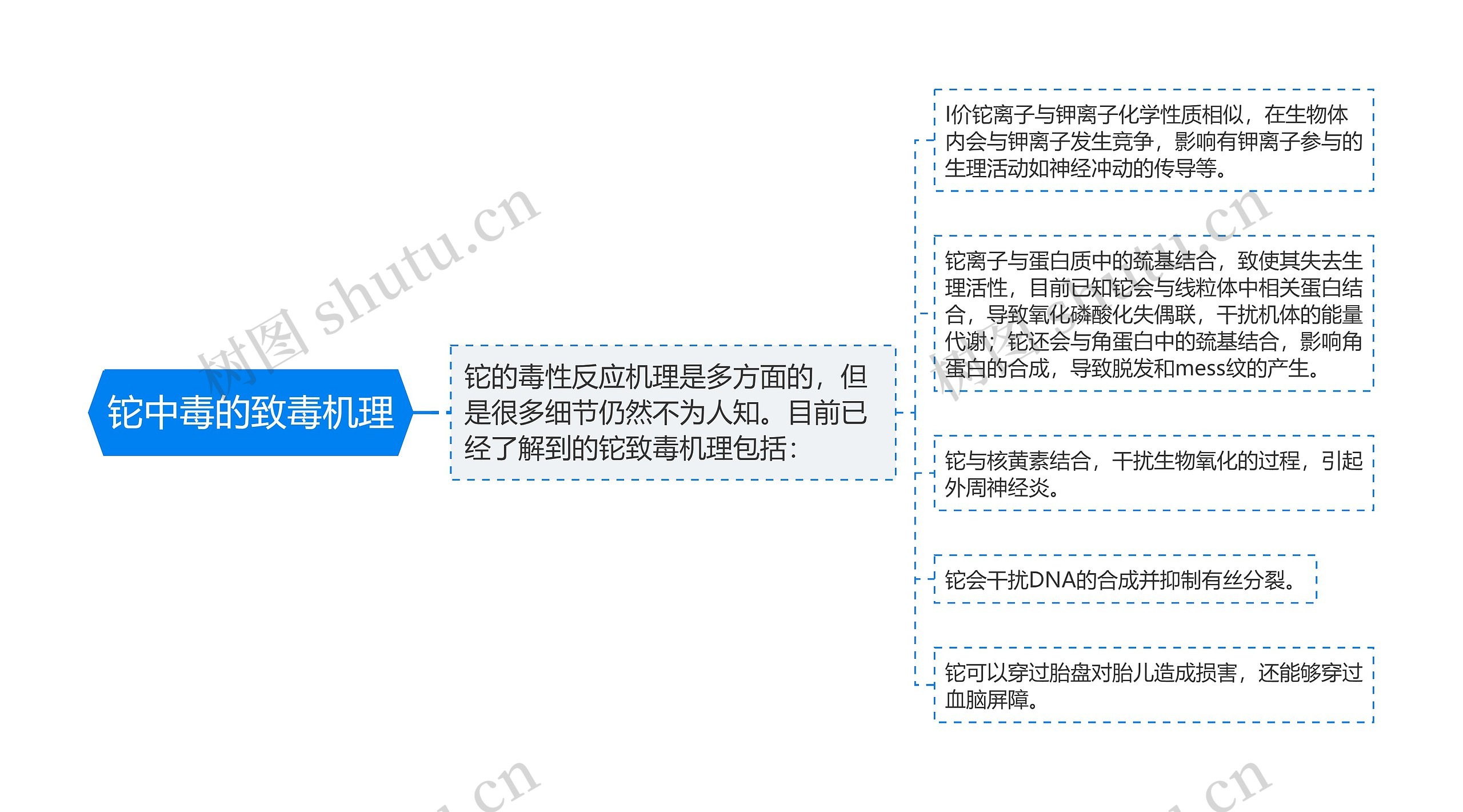 铊中毒的致毒机理思维导图