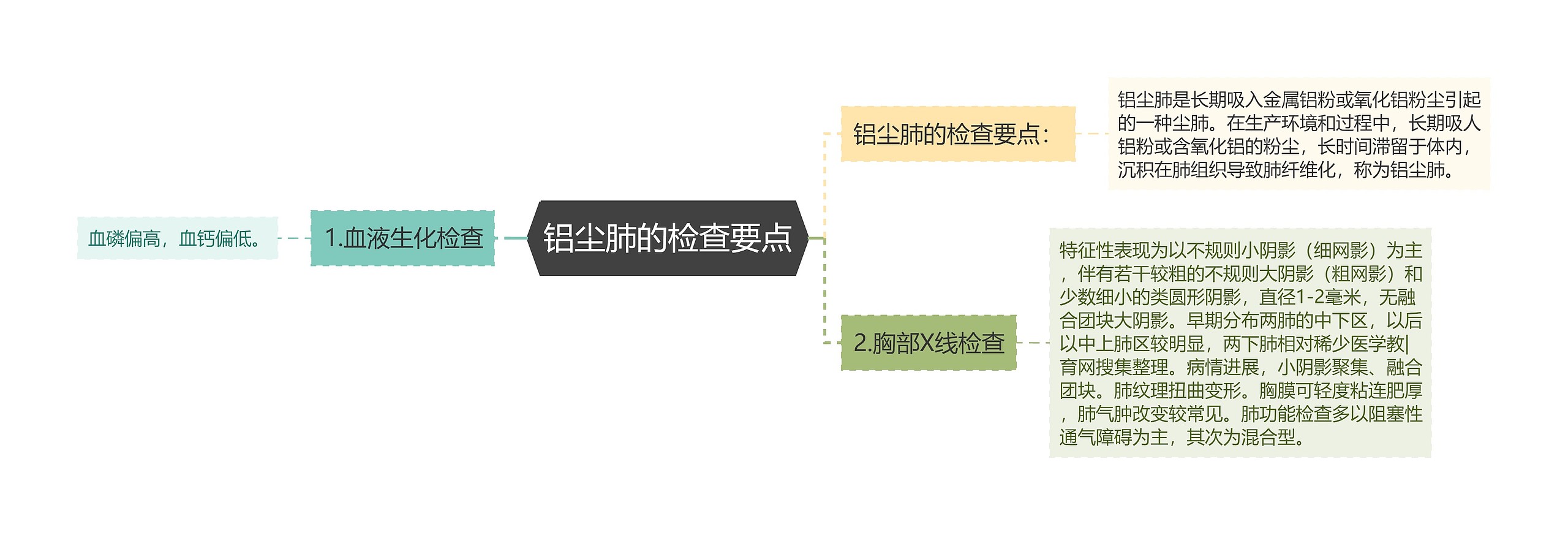 铝尘肺的检查要点思维导图