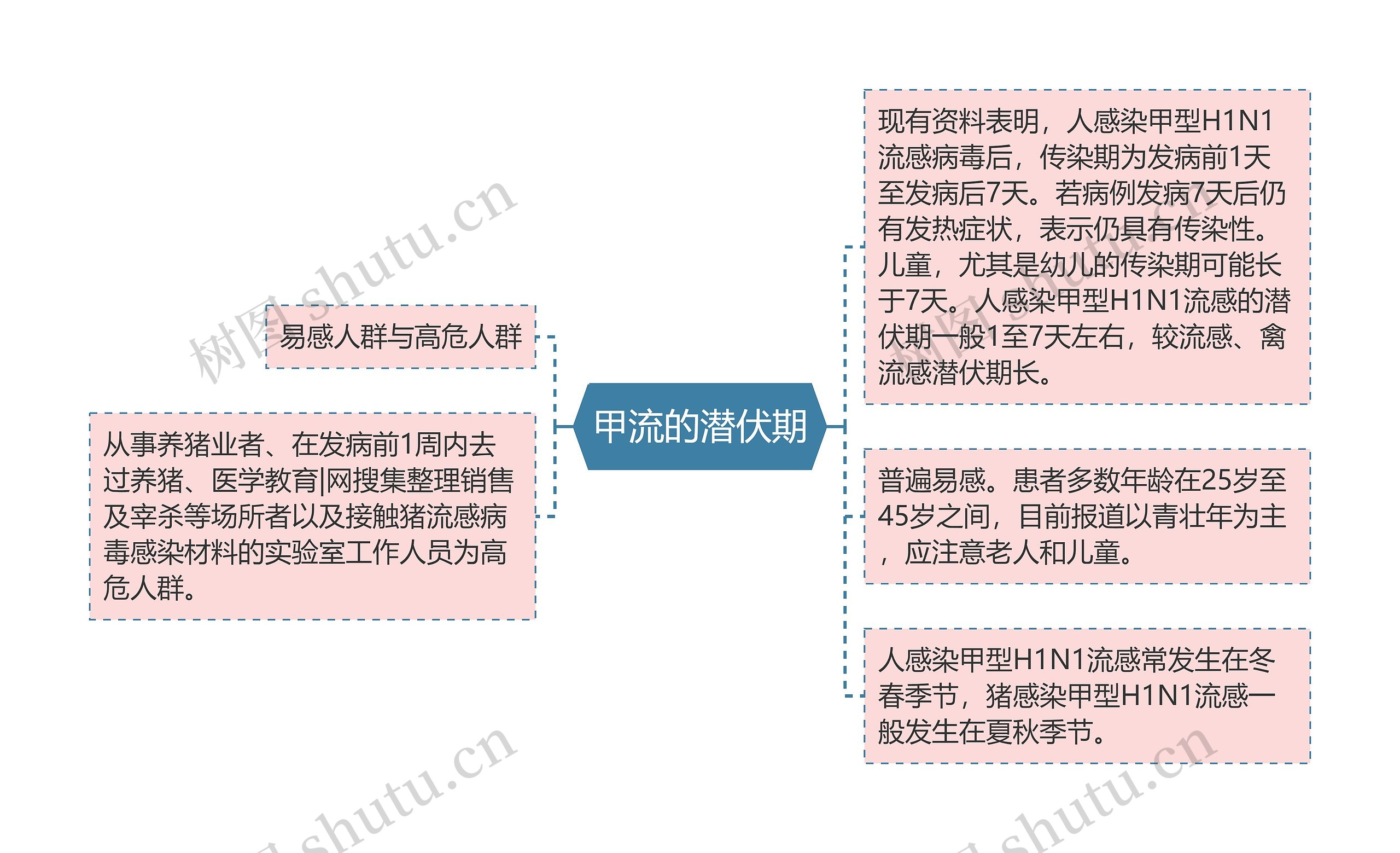 甲流的潜伏期思维导图