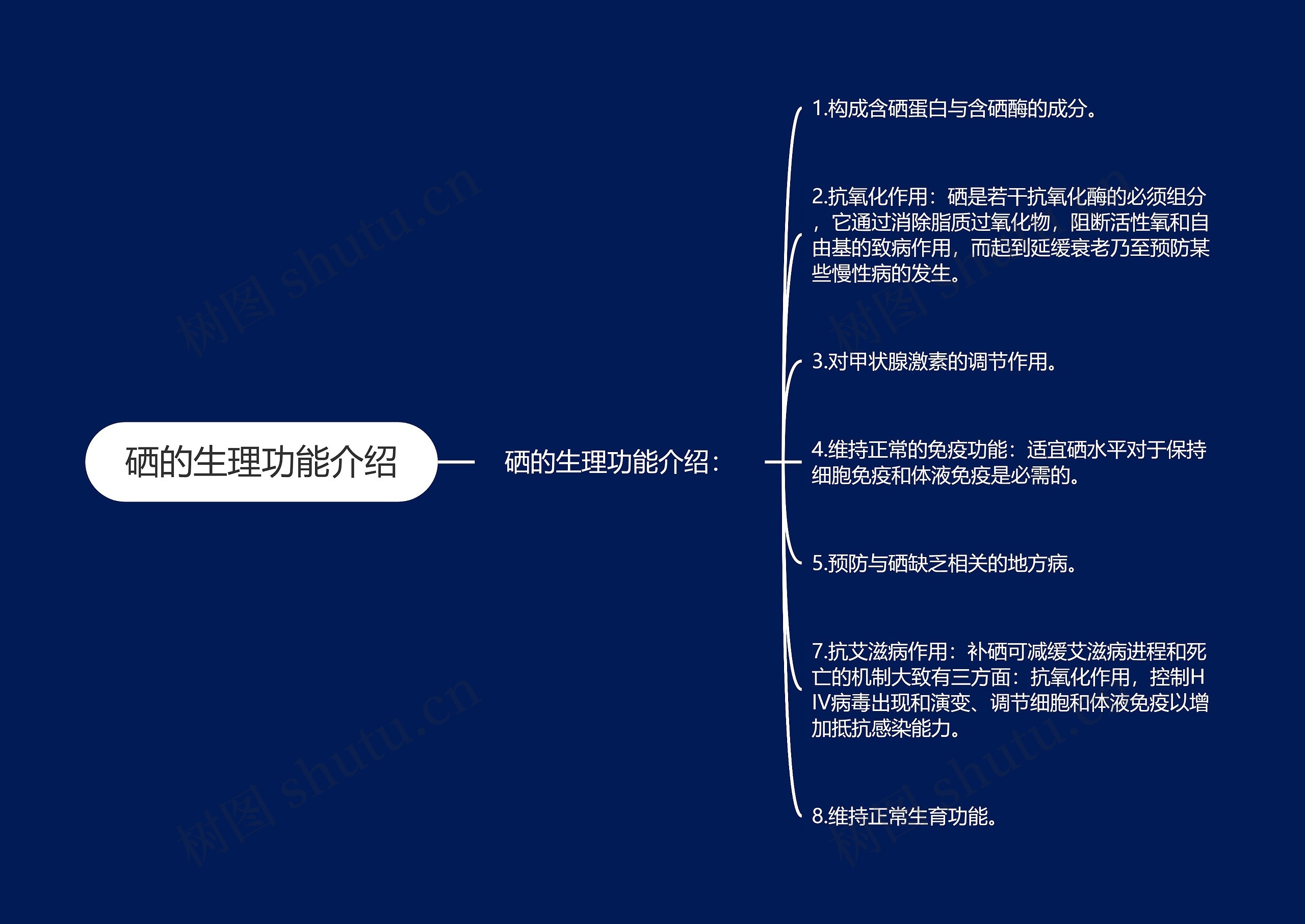 硒的生理功能介绍思维导图