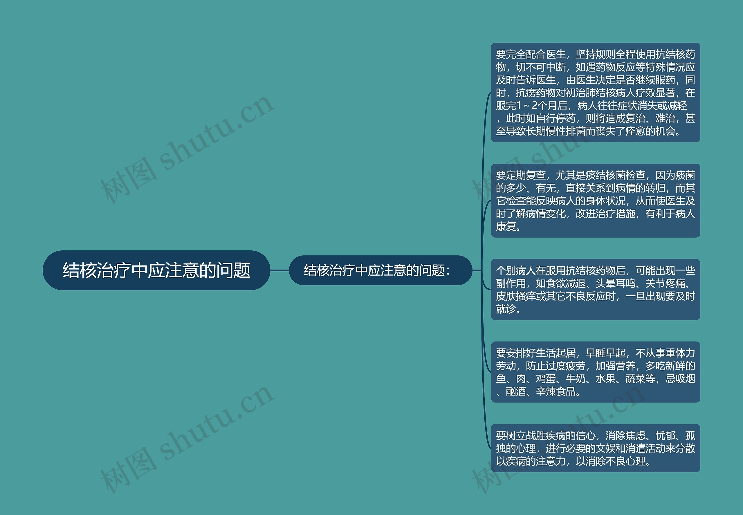 结核治疗中应注意的问题思维导图