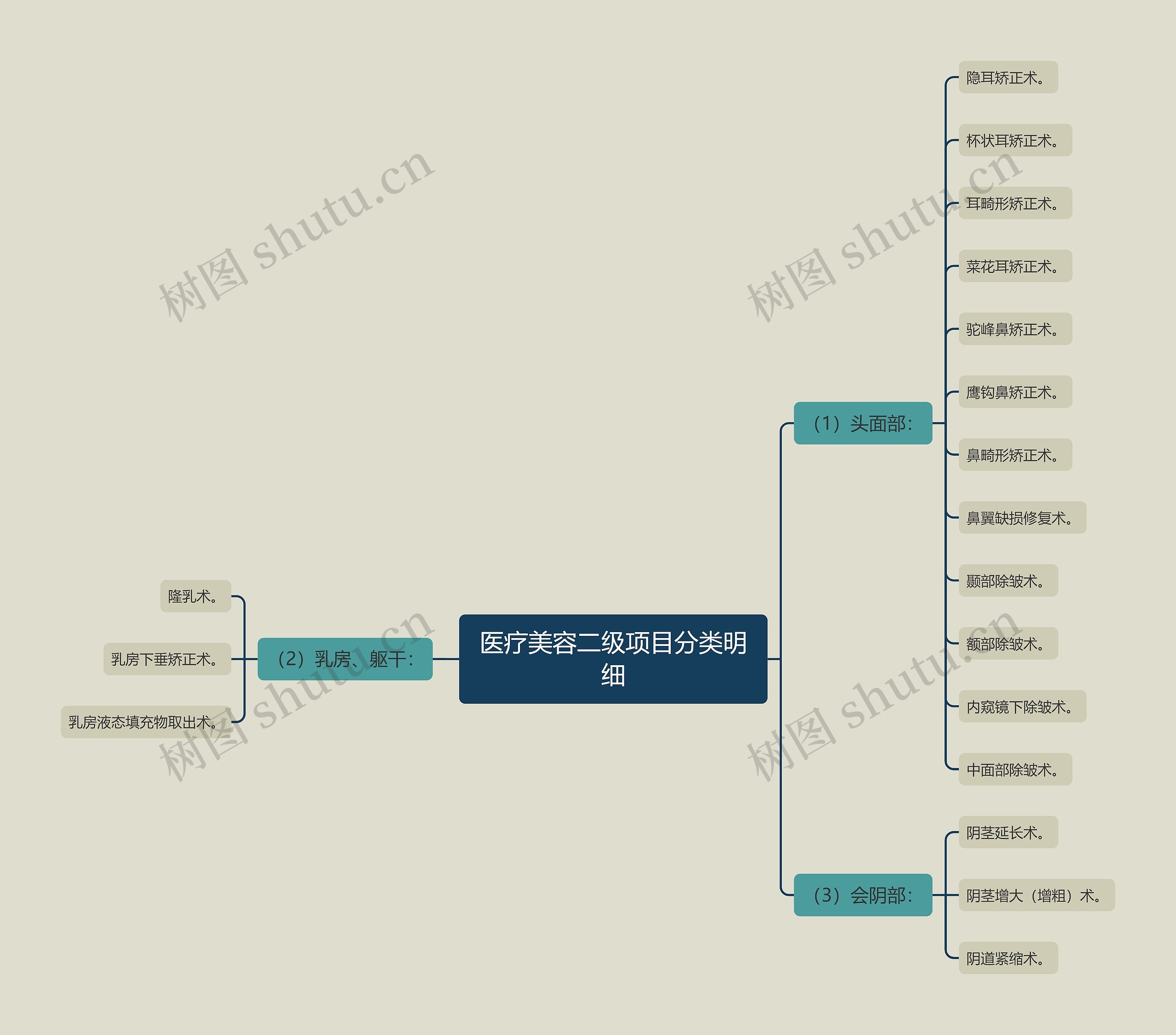 医疗美容二级项目分类明细思维导图