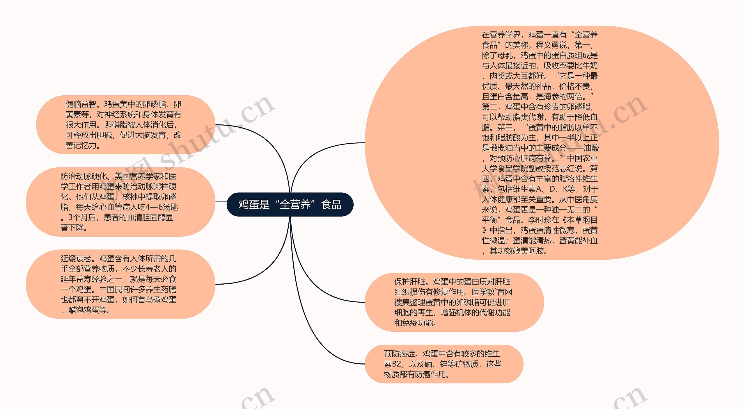 鸡蛋是“全营养”食品思维导图