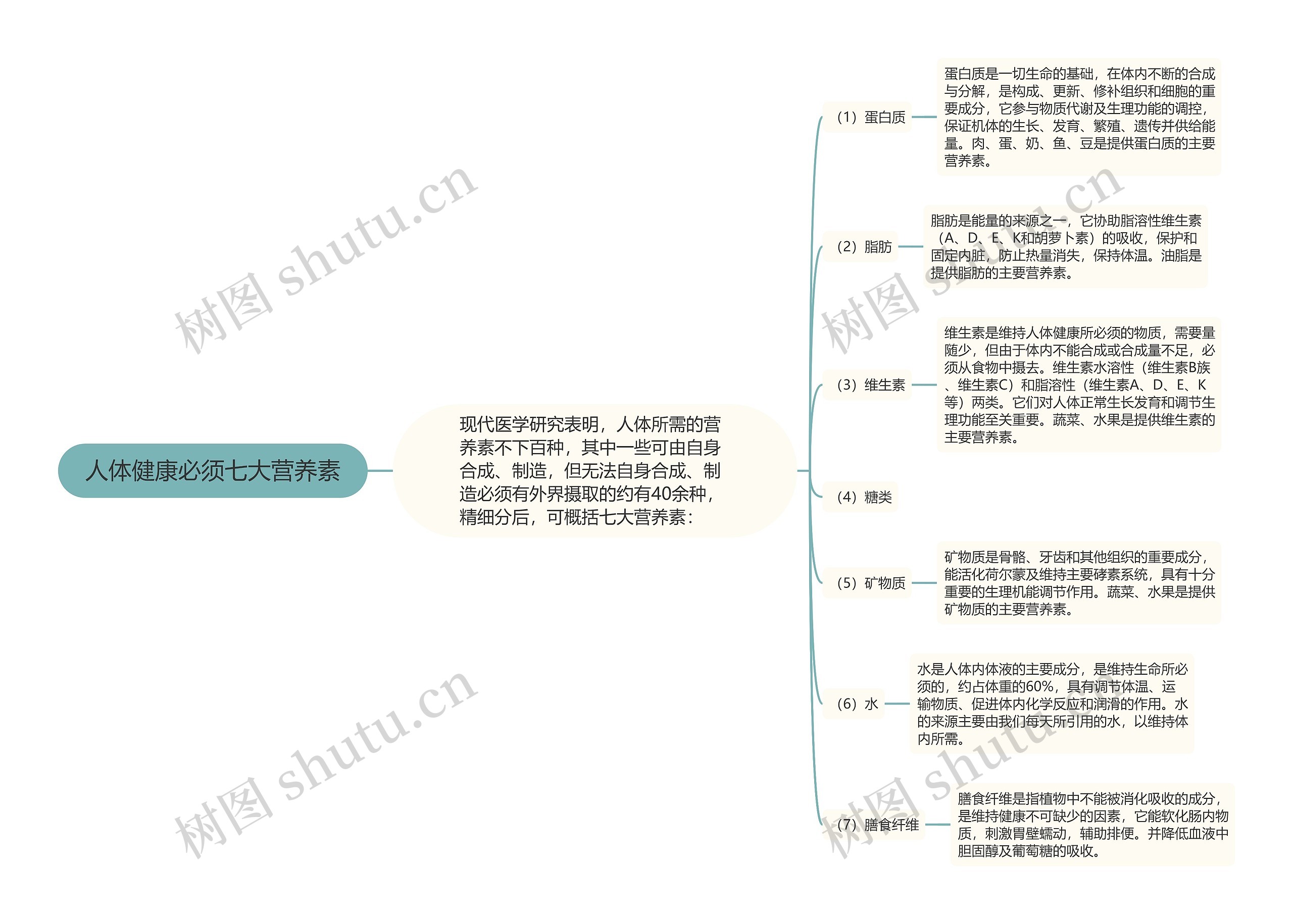 人体健康必须七大营养素思维导图