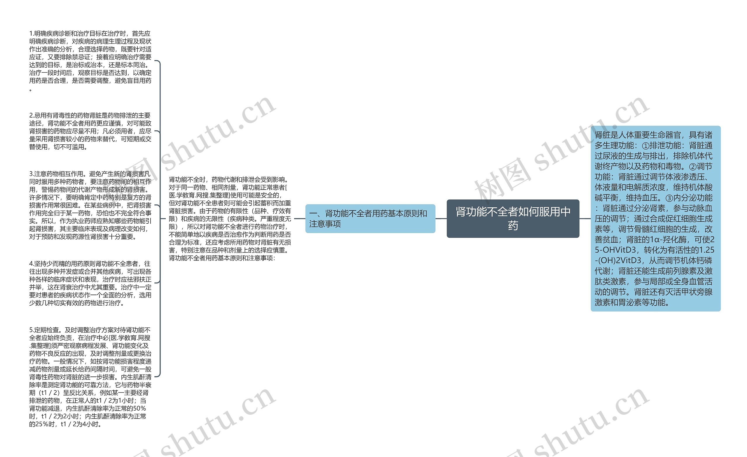 肾功能不全者如何服用中药思维导图