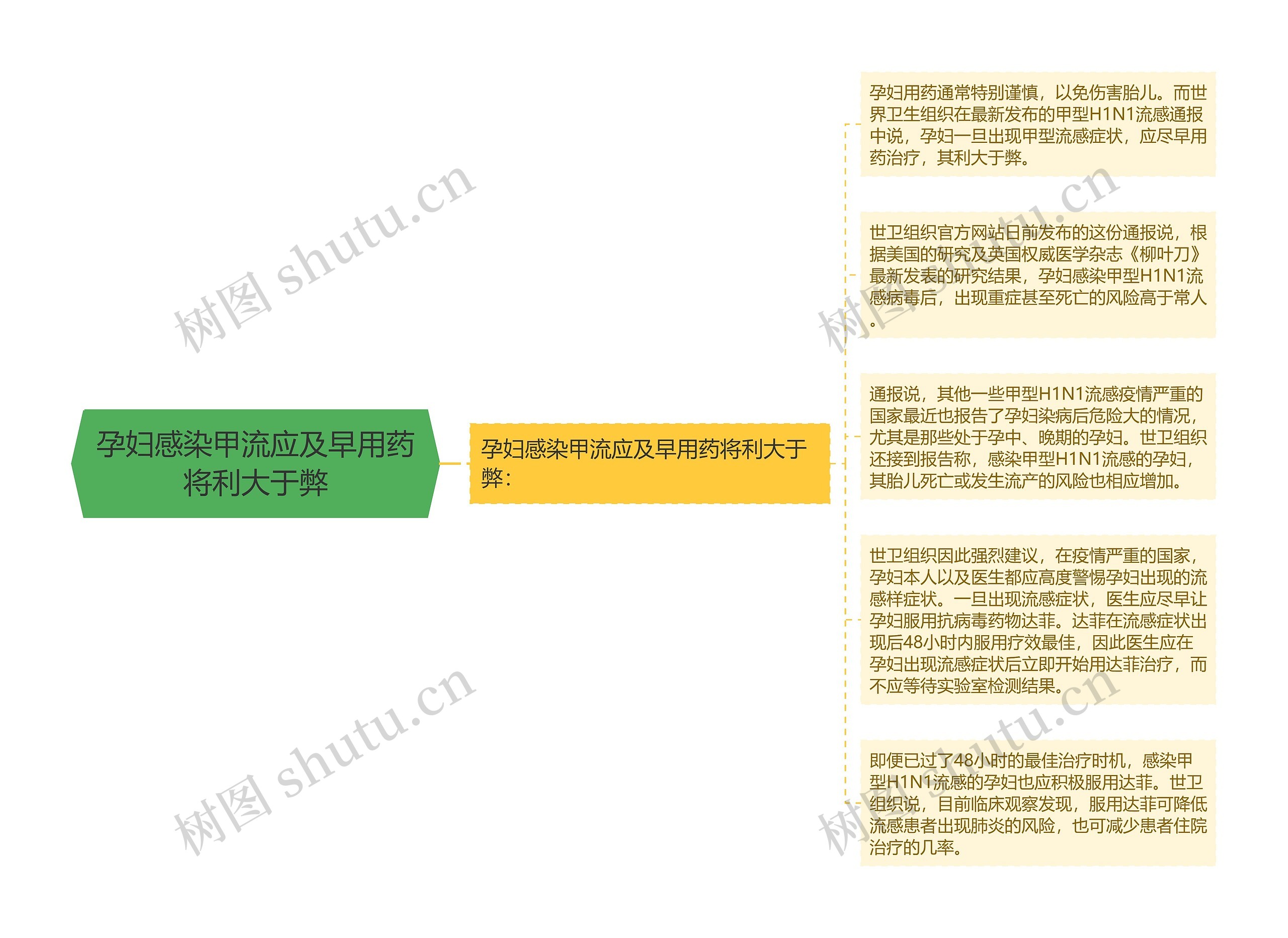 孕妇感染甲流应及早用药将利大于弊思维导图