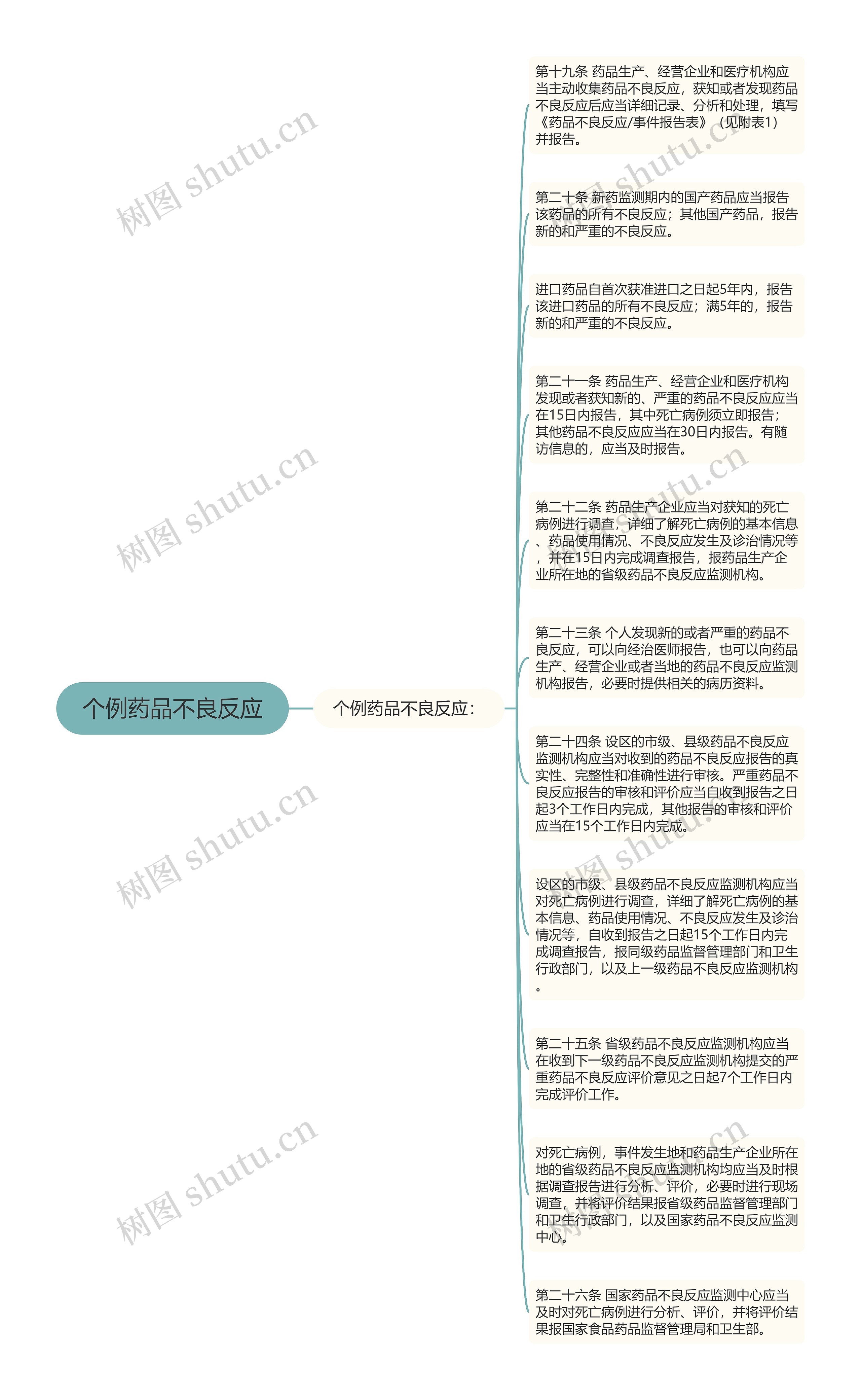 个例药品不良反应思维导图