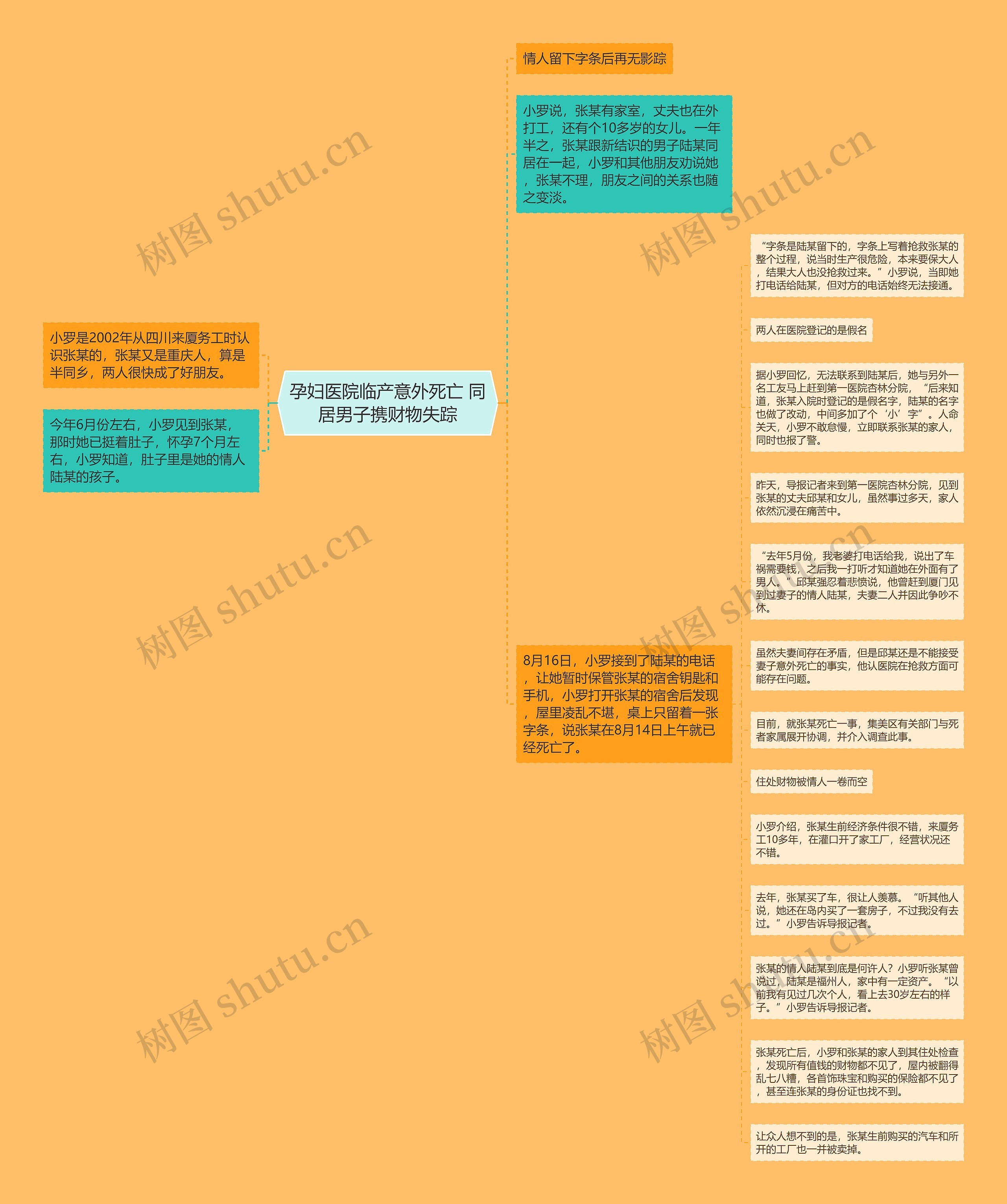 孕妇医院临产意外死亡 同居男子携财物失踪思维导图
