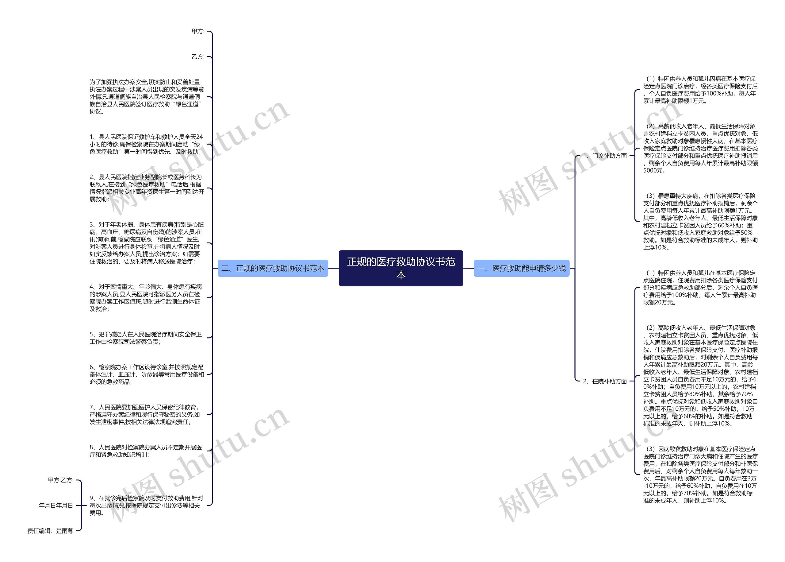 正规的医疗救助协议书范本思维导图