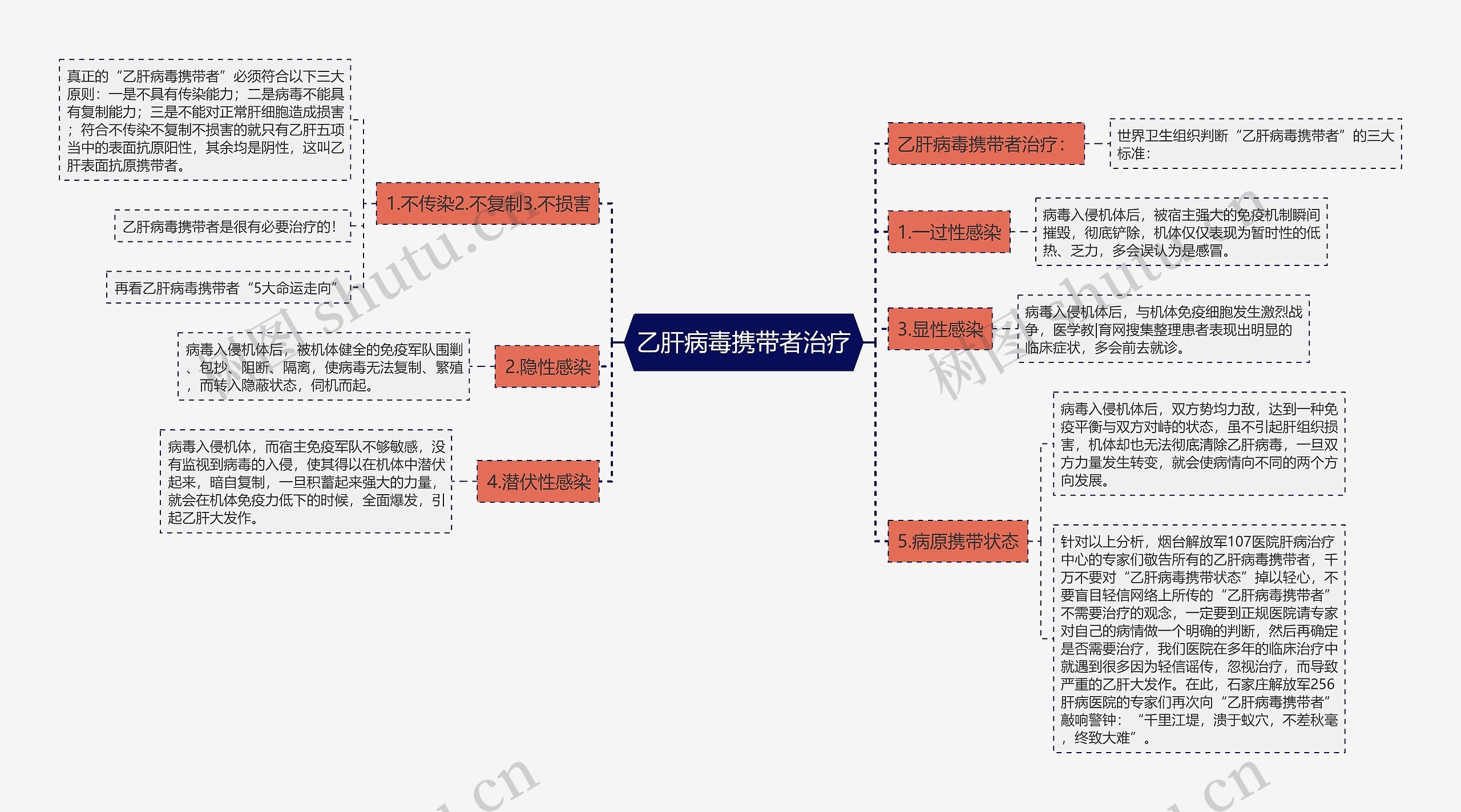 乙肝病毒携带者治疗思维导图