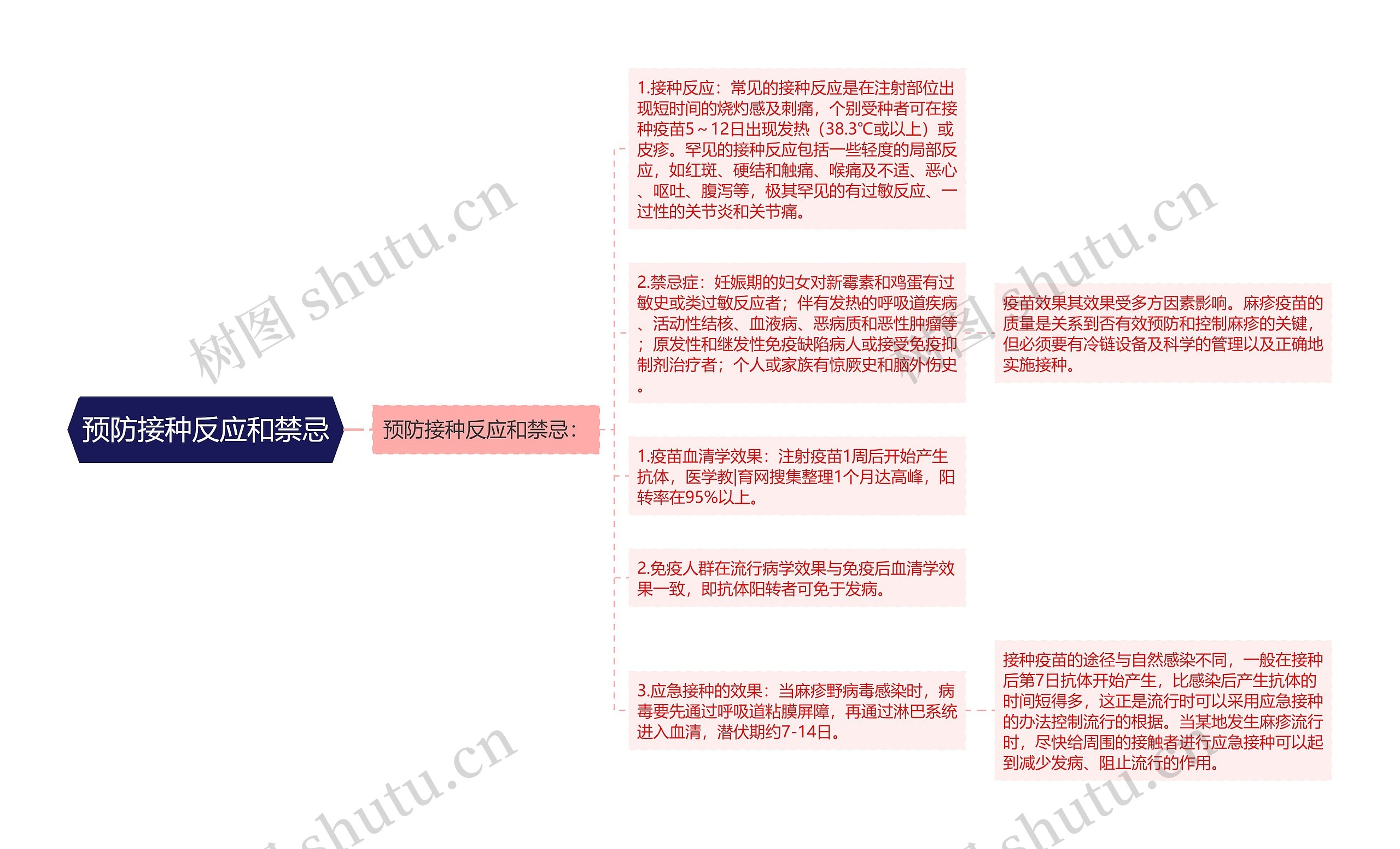 预防接种反应和禁忌思维导图