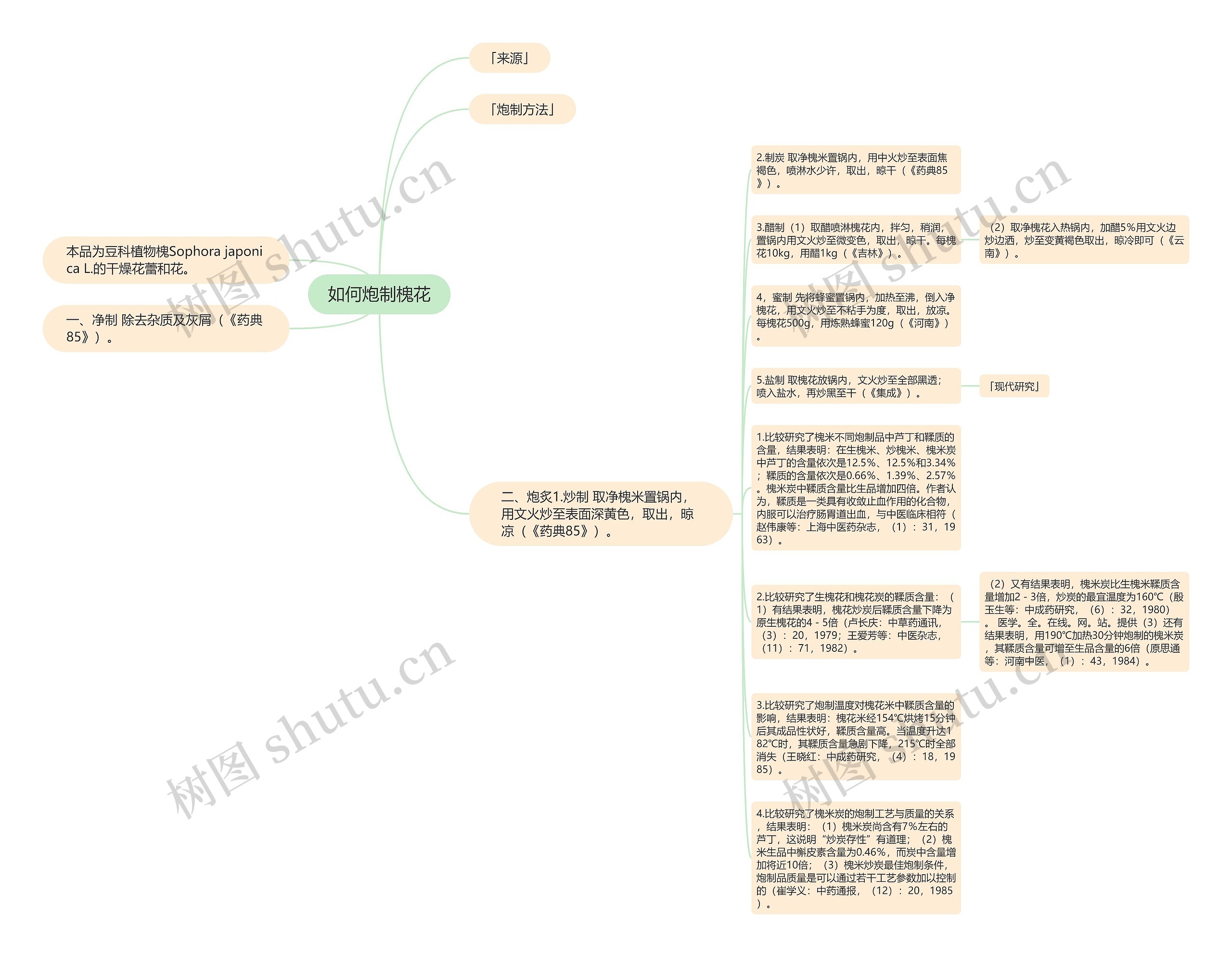 如何炮制槐花思维导图