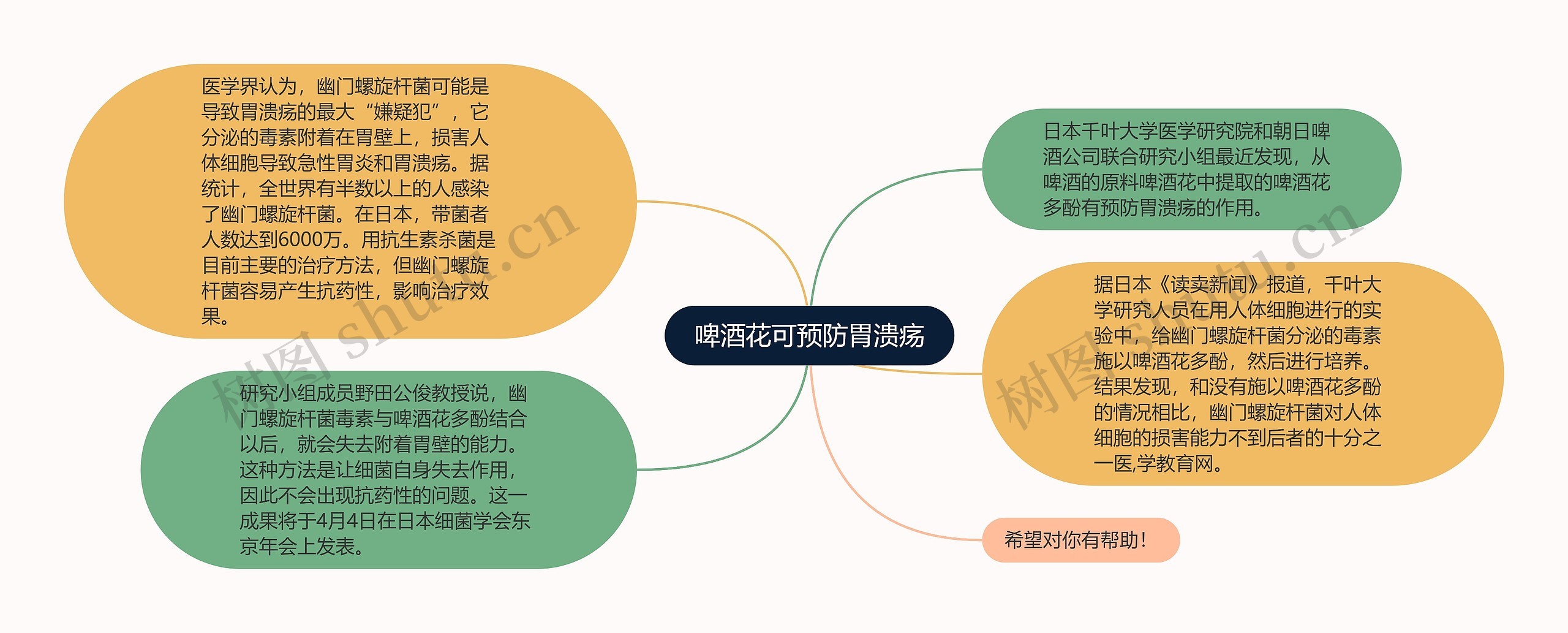 啤酒花可预防胃溃疡思维导图