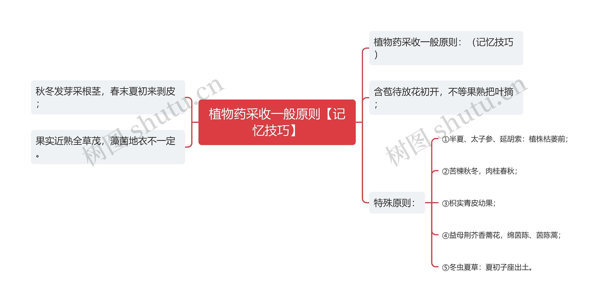 植物药采收一般原则【记忆技巧】思维导图