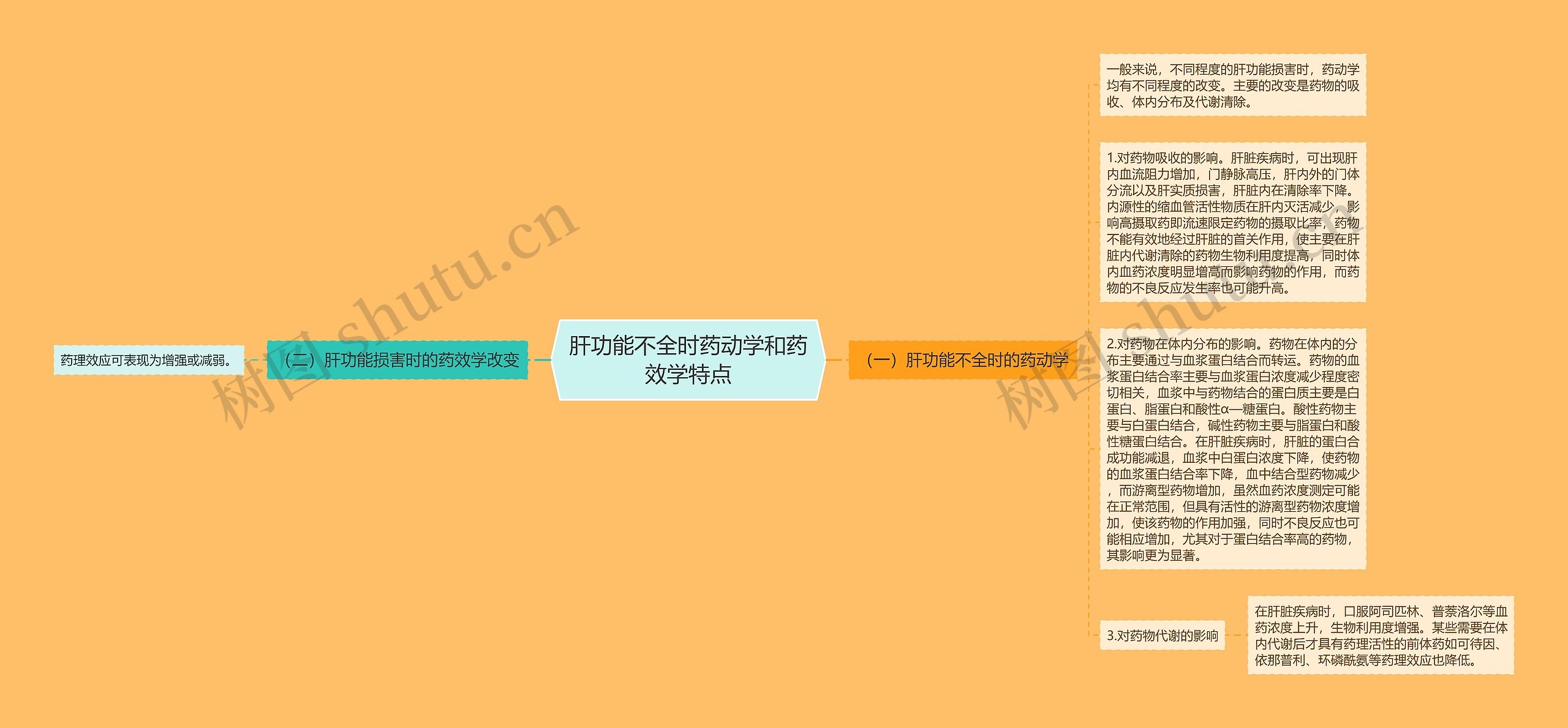 肝功能不全时药动学和药效学特点思维导图