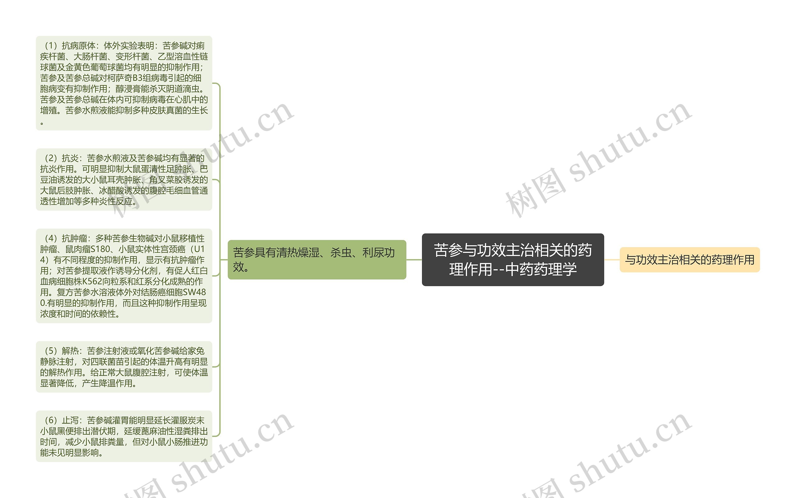 苦参与功效主治相关的药理作用--中药药理学