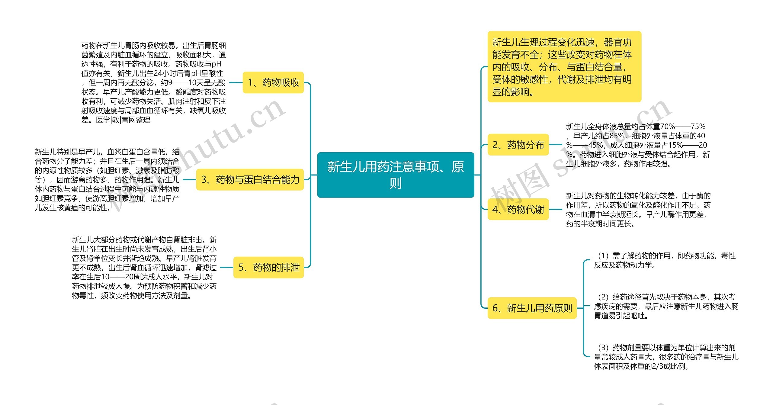 新生儿用药注意事项、原则思维导图