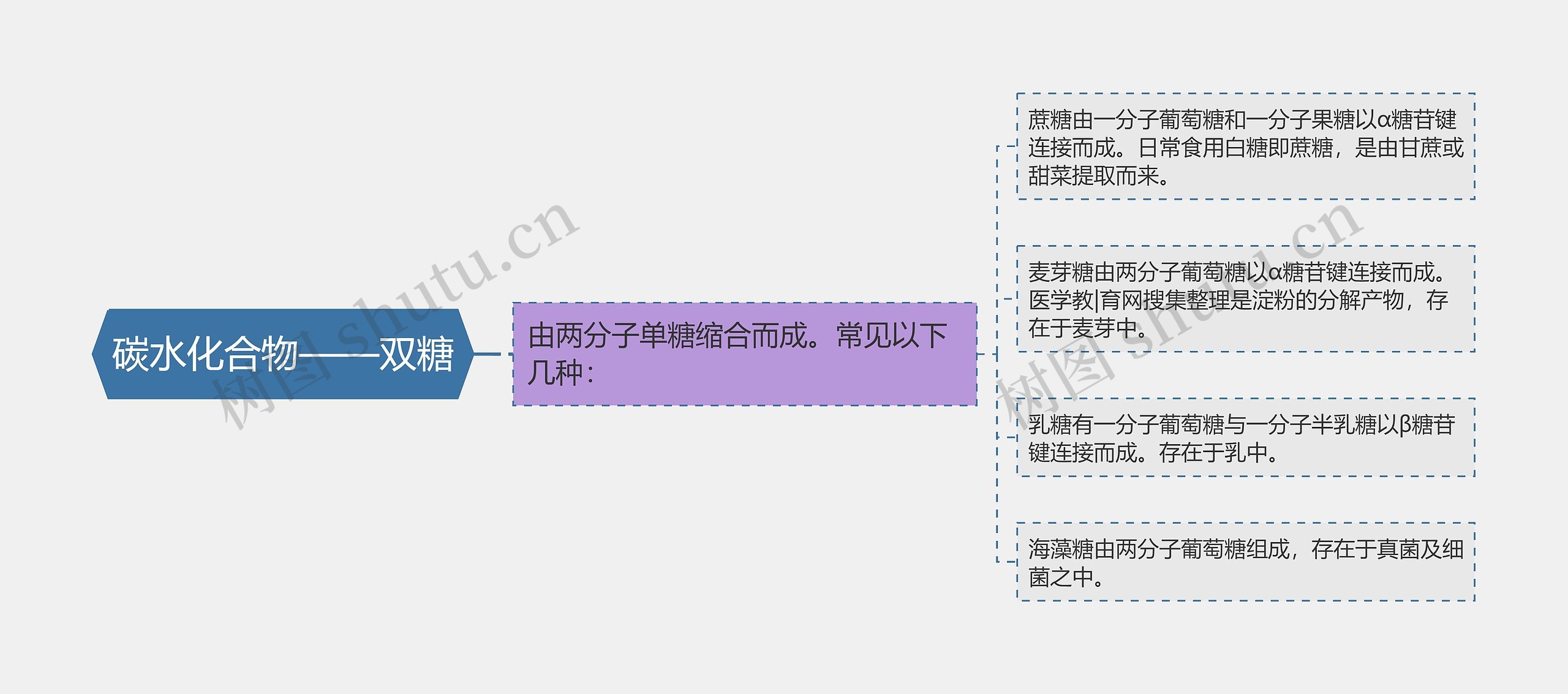 碳水化合物——双糖思维导图