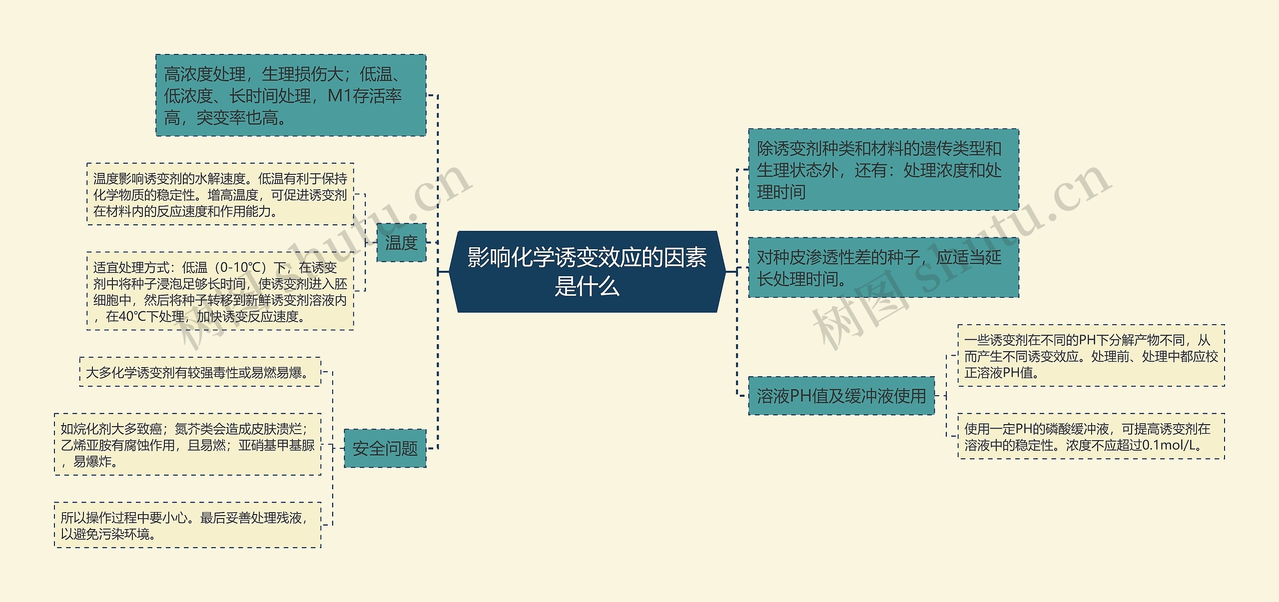 影响化学诱变效应的因素是什么