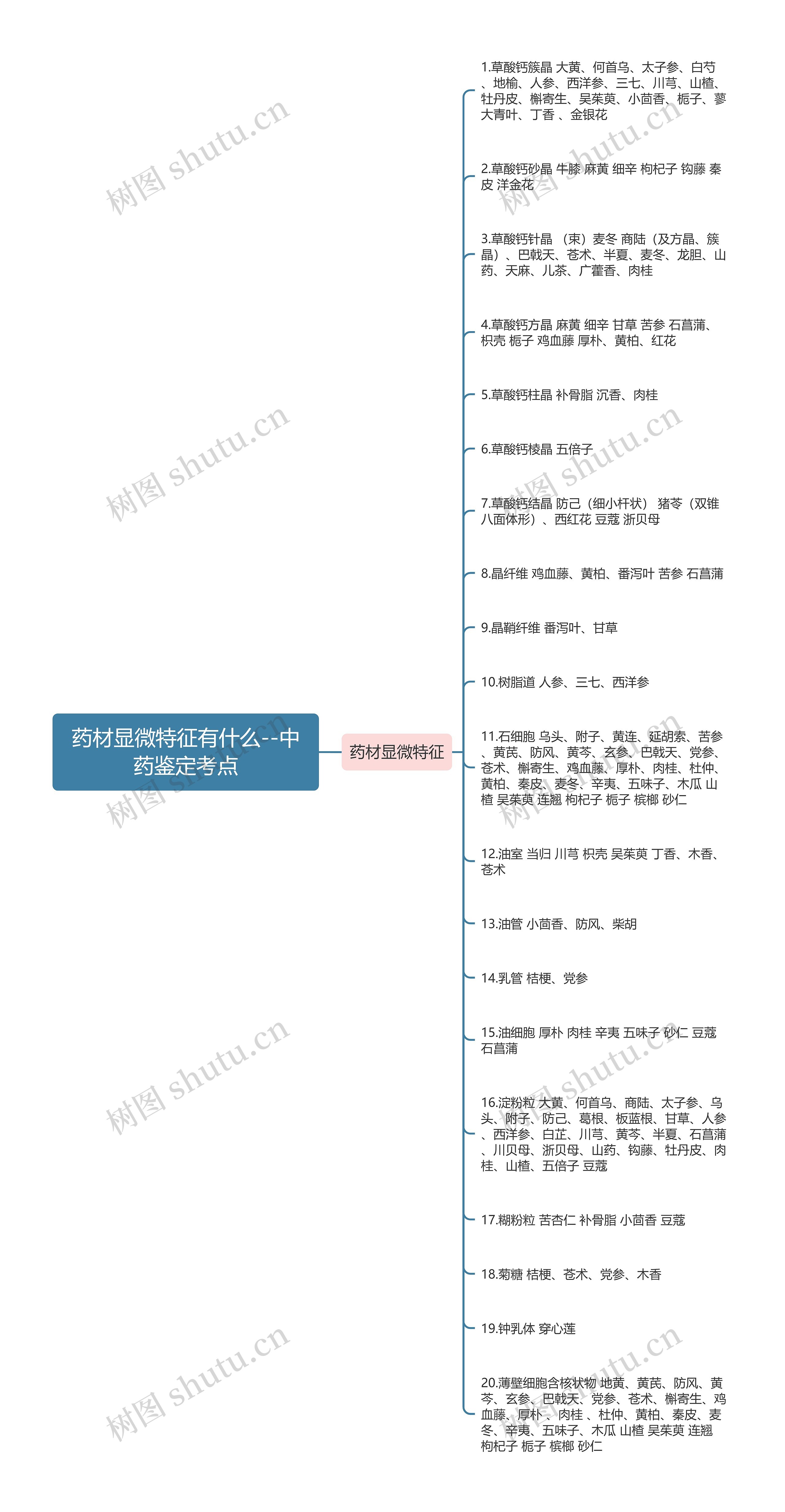 药材显微特征有什么--中药鉴定考点思维导图