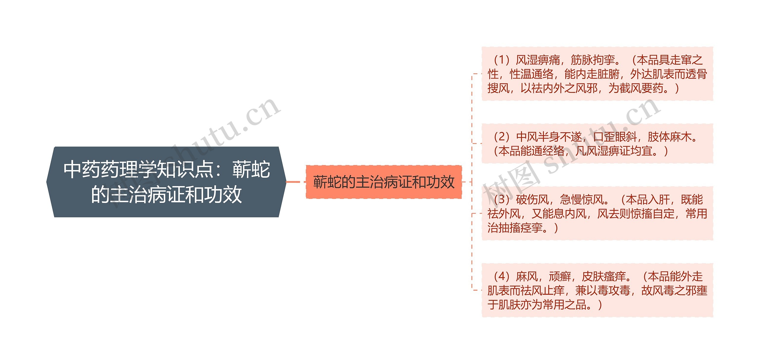 中药药理学知识点：蕲蛇的主治病证和功效