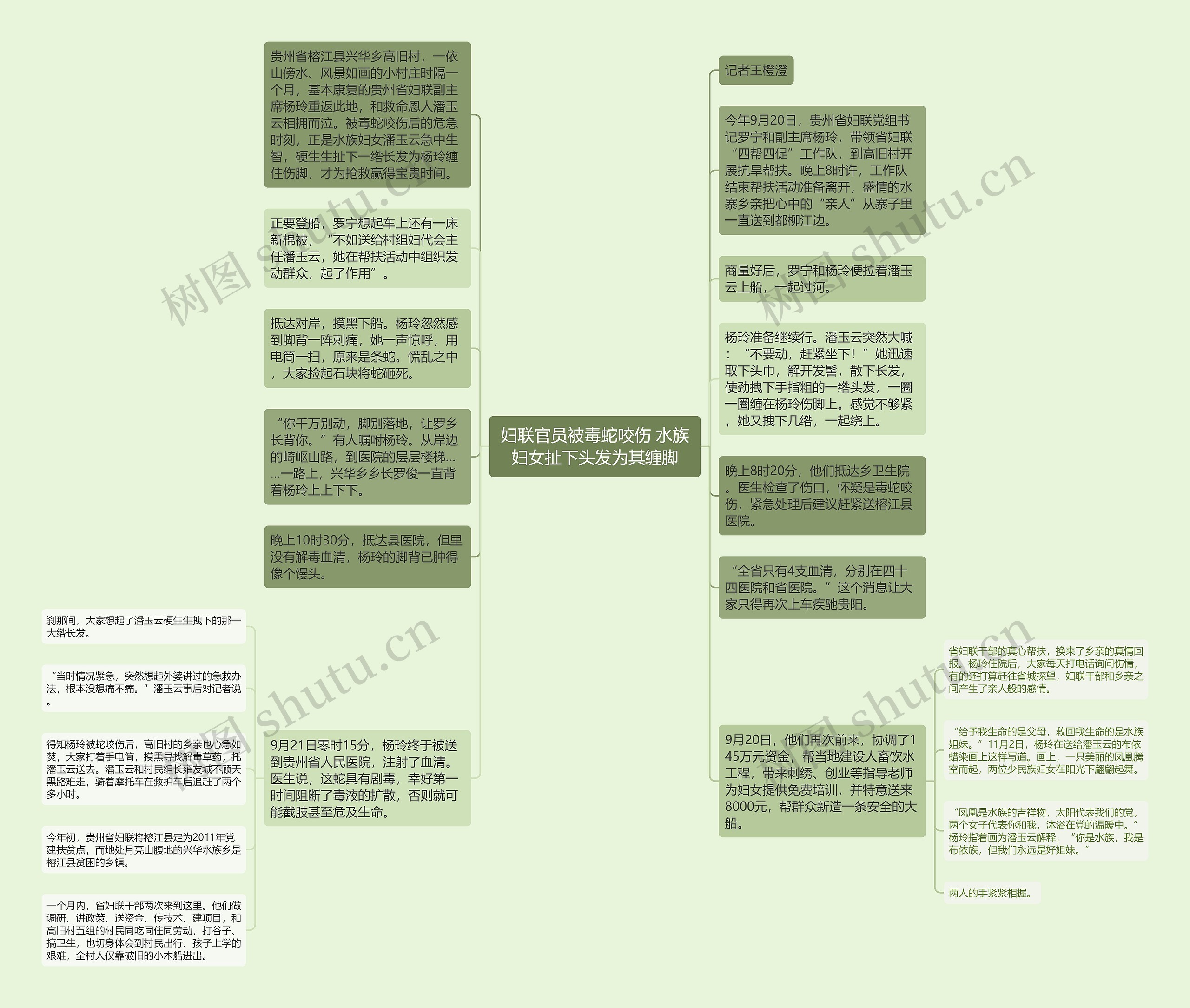 妇联官员被毒蛇咬伤 水族妇女扯下头发为其缠脚思维导图