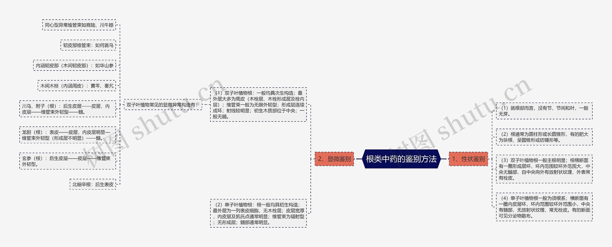 根类中药的鉴别方法思维导图